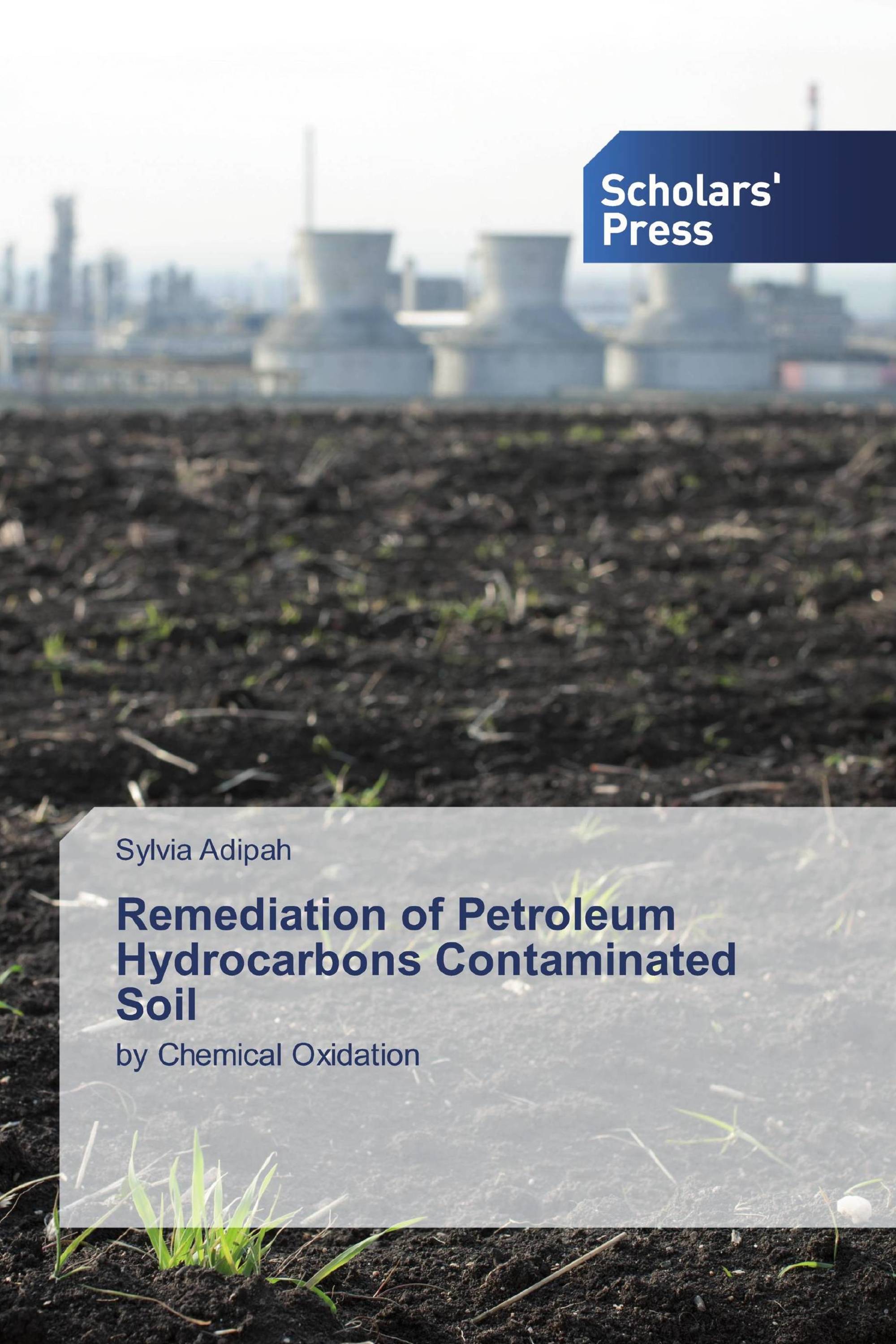 Remediation of Petroleum Hydrocarbons Contaminated Soil