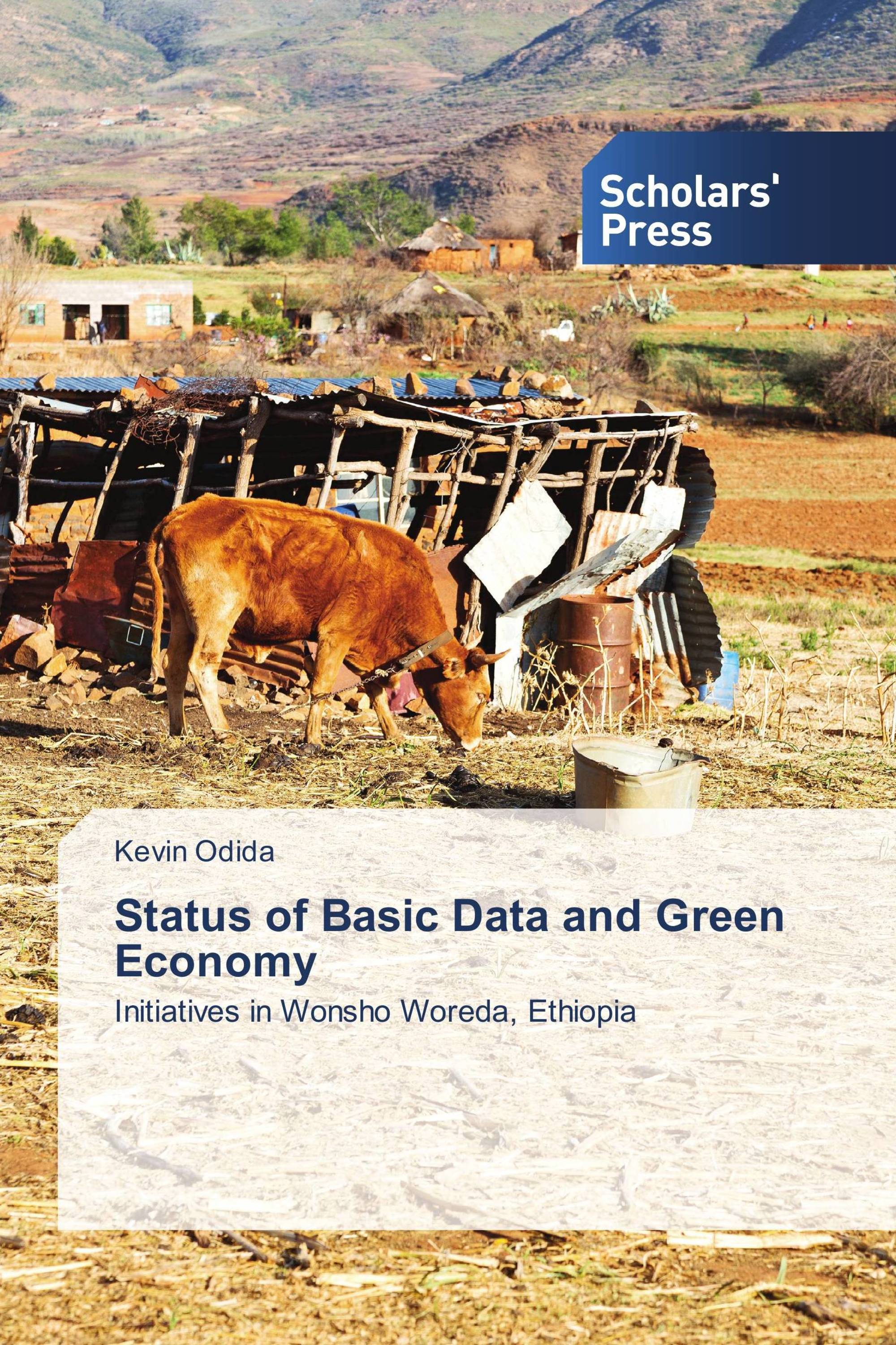 Status of Basic Data and Green Economy