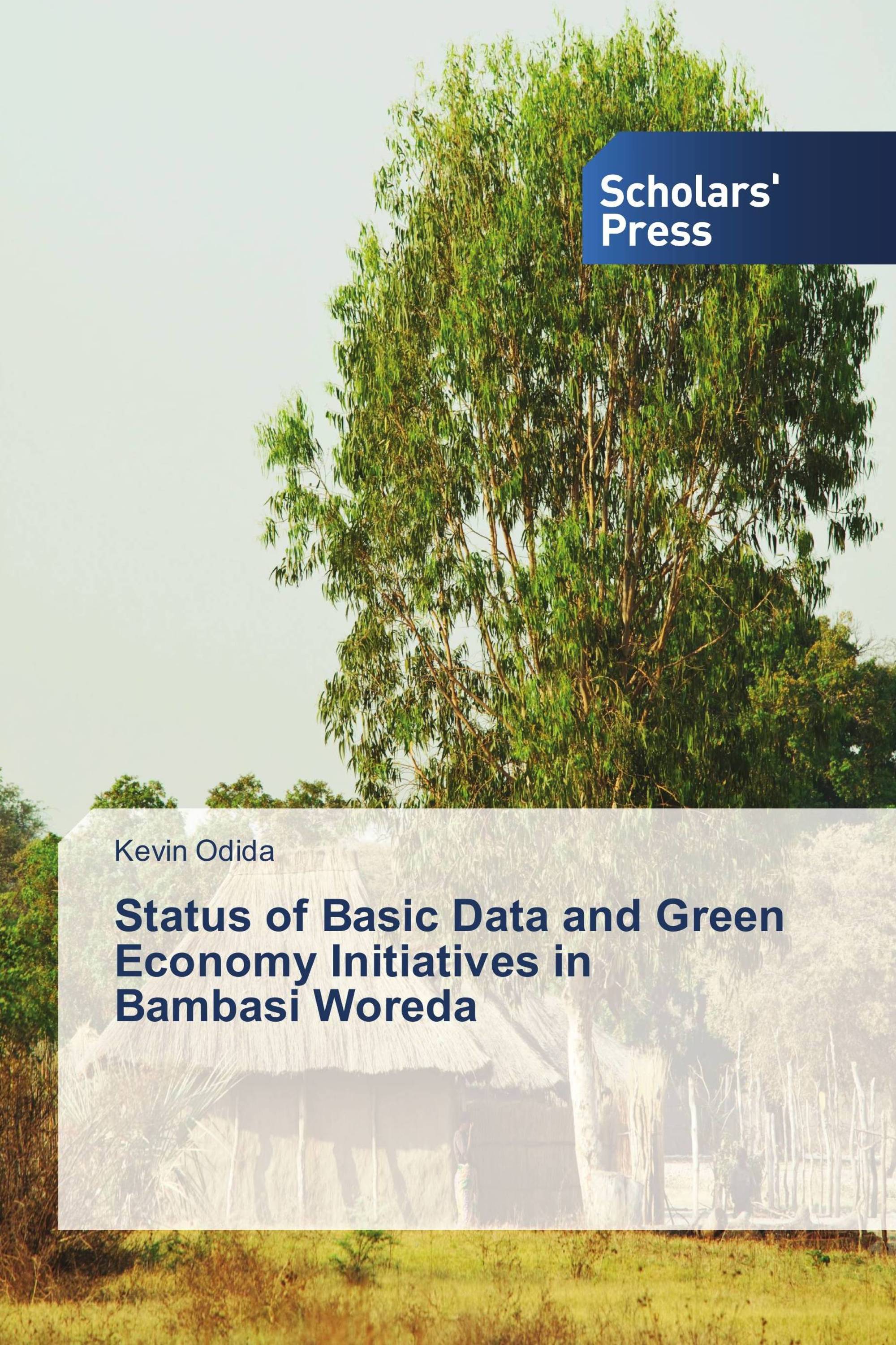 Status of Basic Data and Green Economy Initiatives in Bambasi Woreda