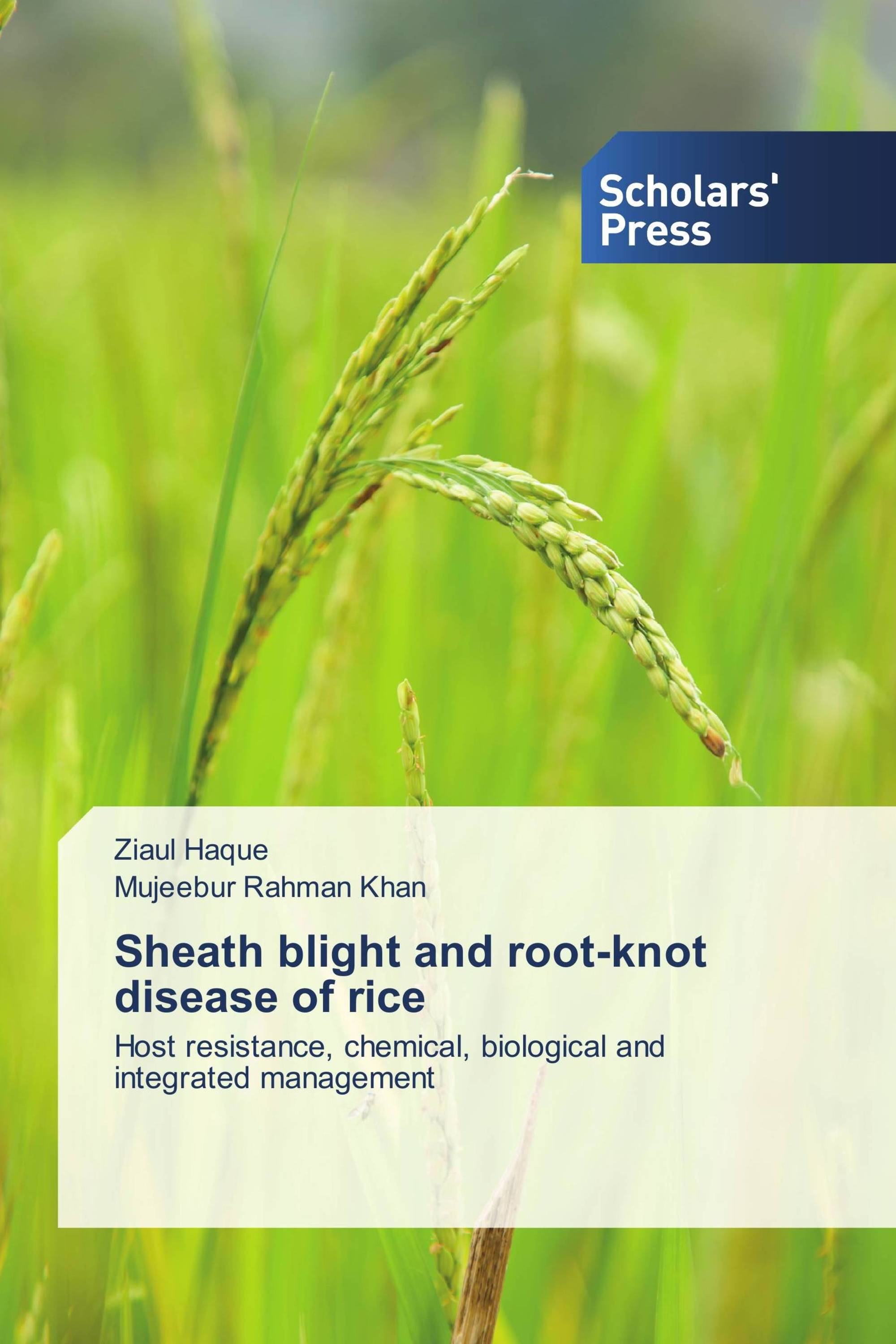 Sheath blight and root-knot disease of rice