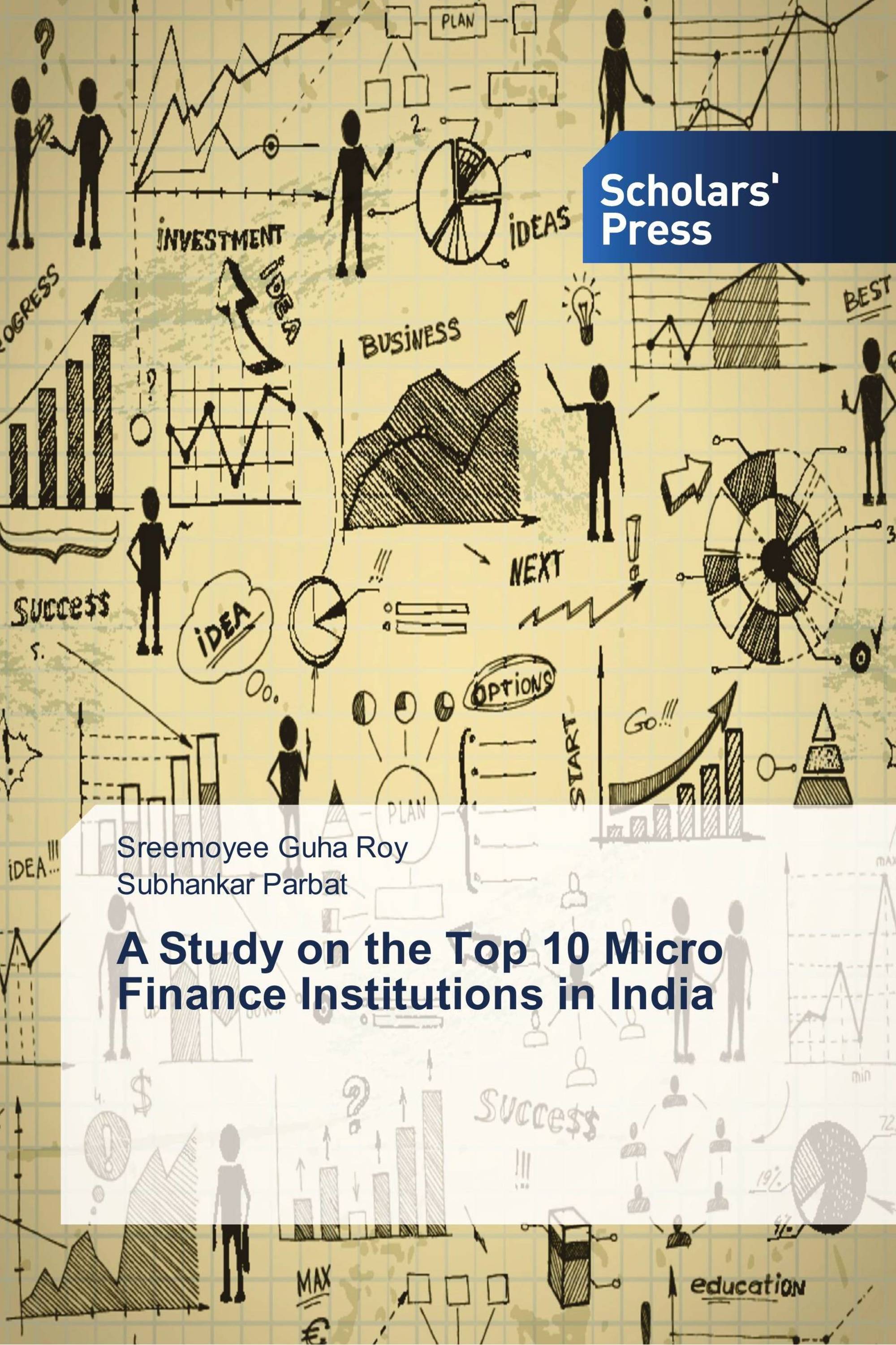 A Study on the Top 10 Micro Finance Institutions in India