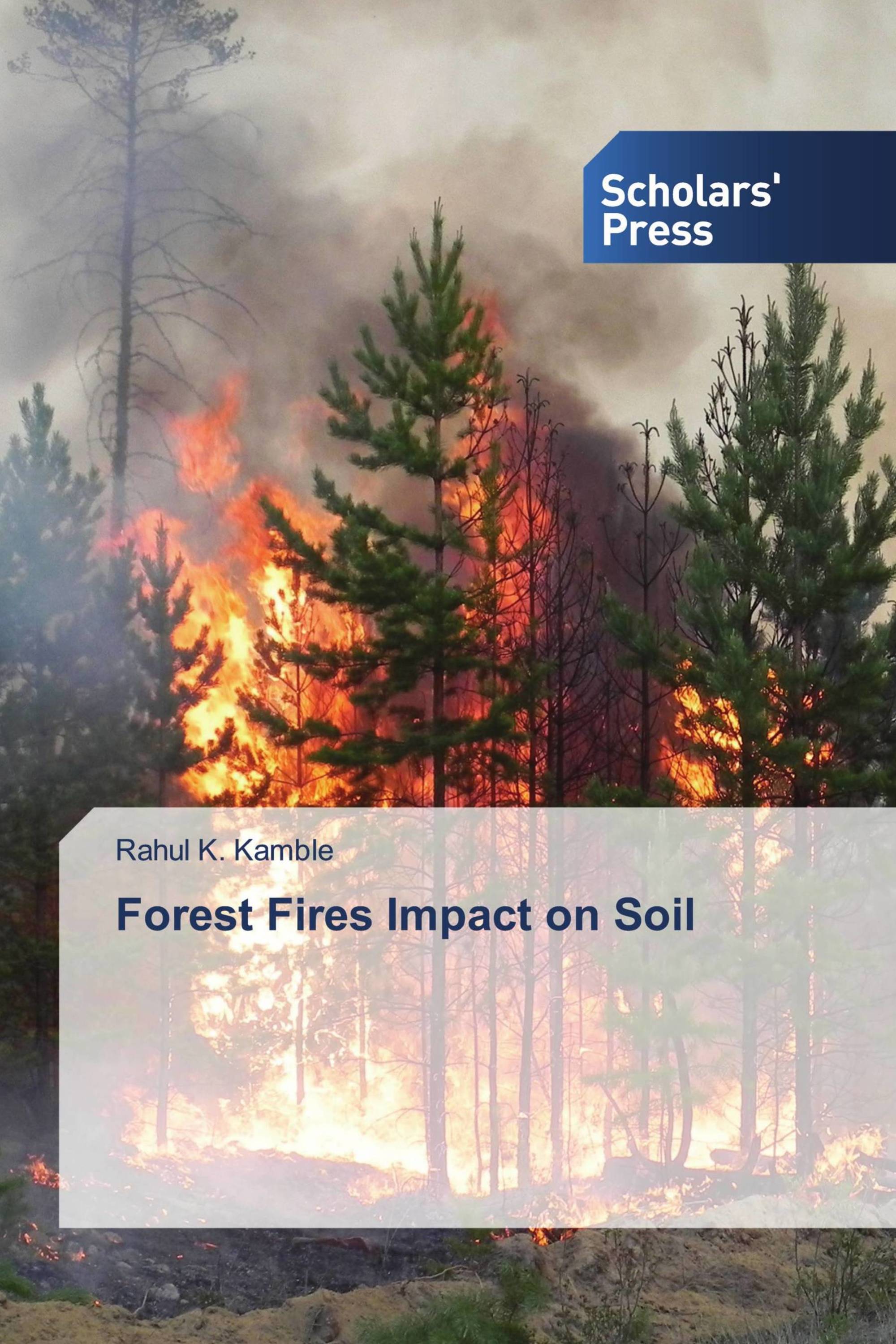 Forest Fires Impact on Soil