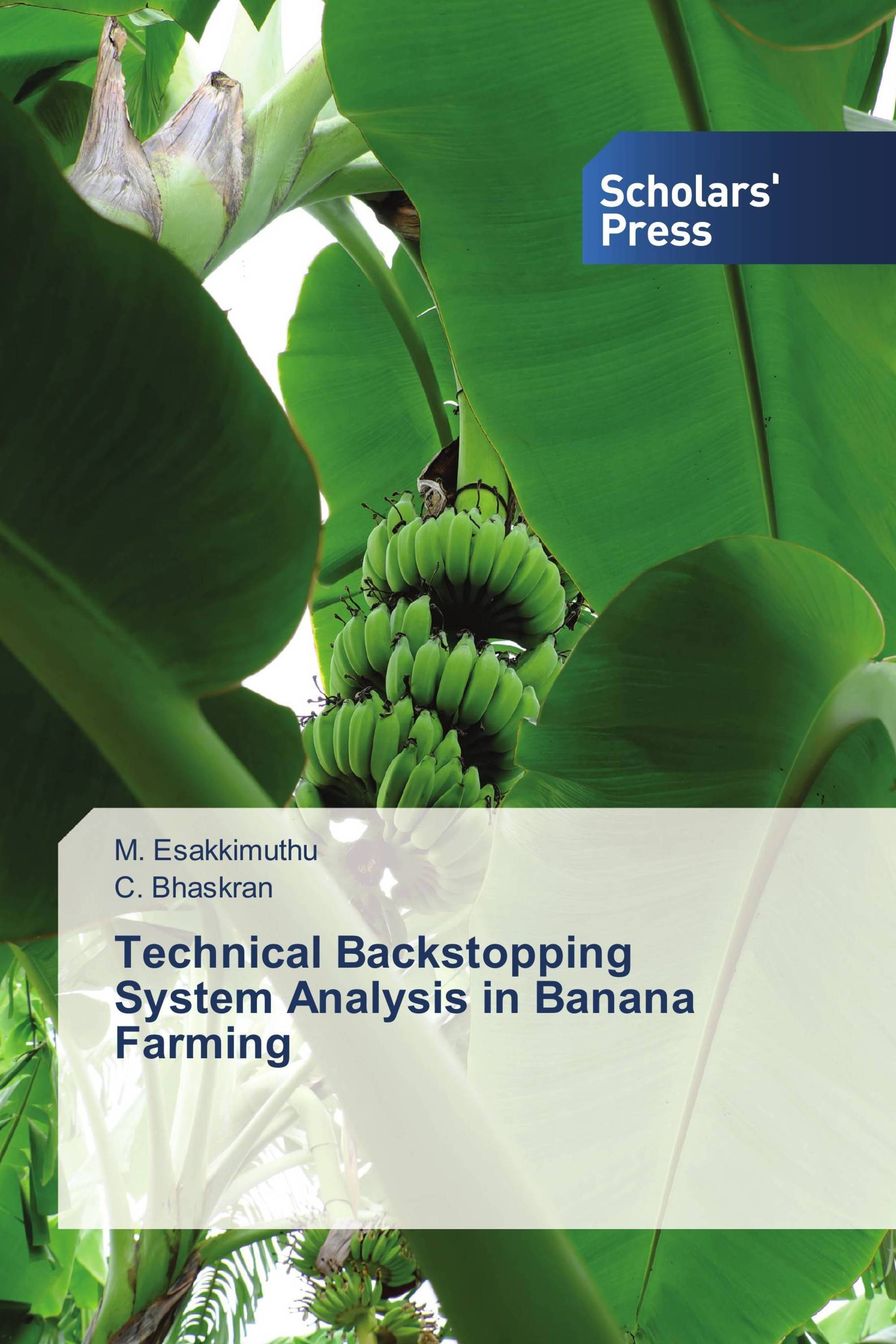 Technical Backstopping System Analysis in Banana Farming