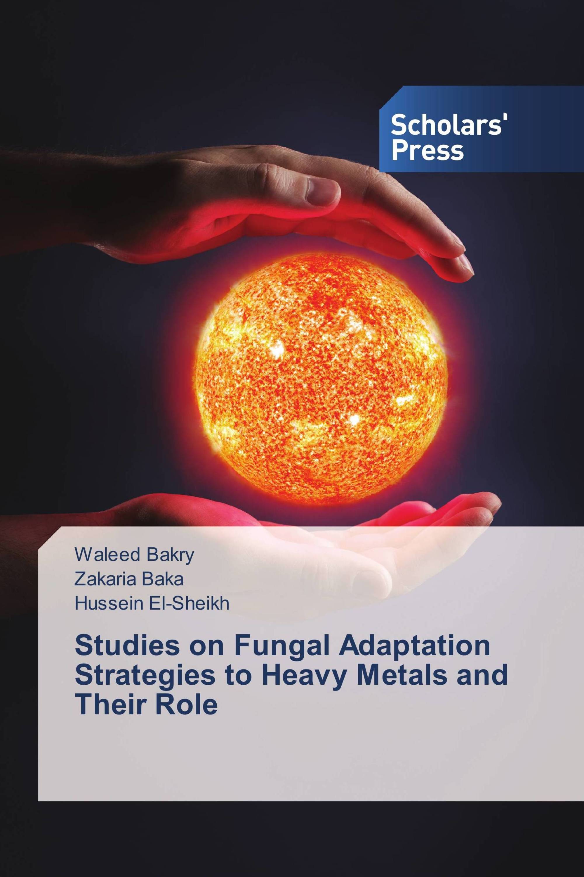 Studies on Fungal Adaptation Strategies to Heavy Metals and Their Role