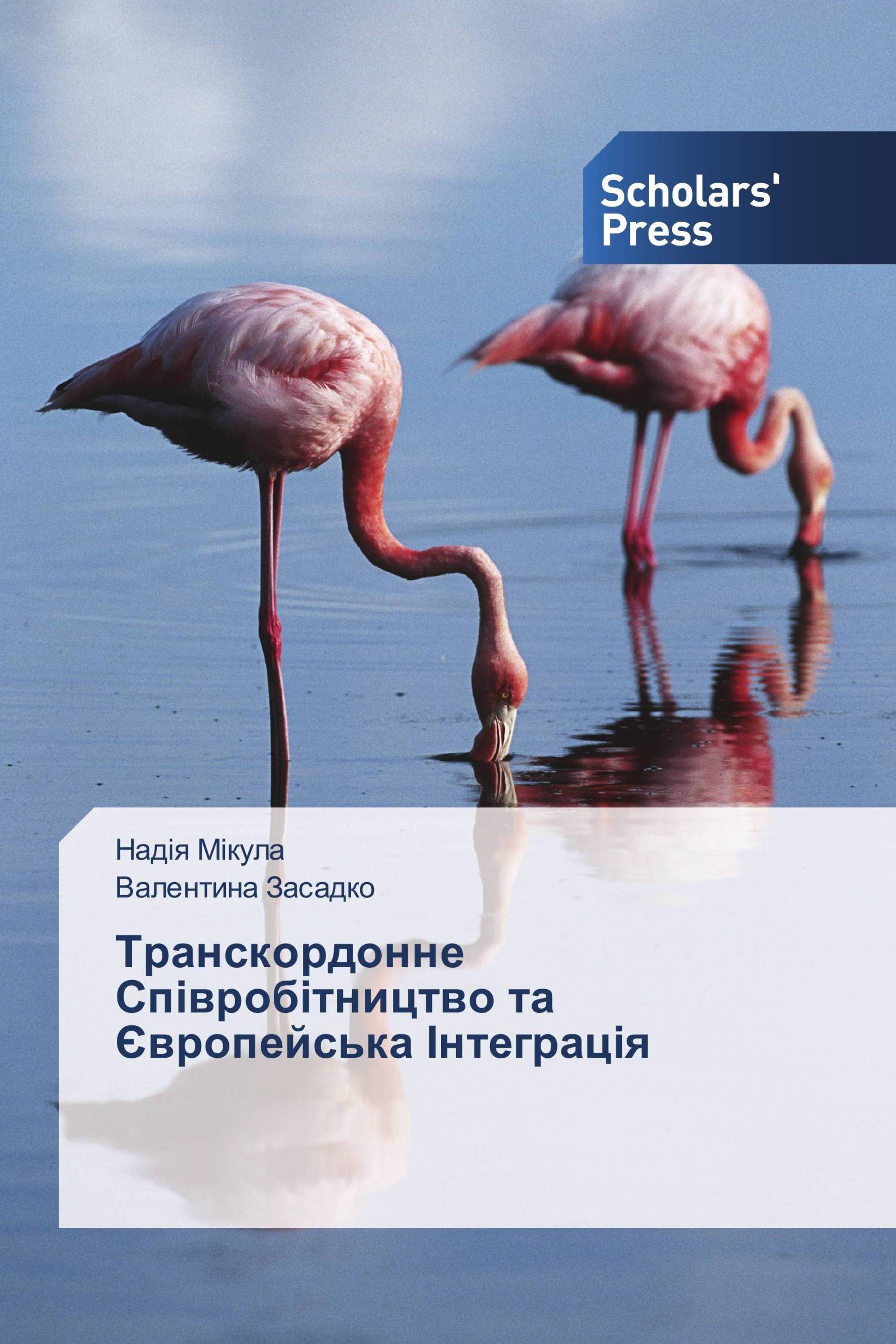 Транскордонне Співробітництво та Європейська Інтеграція