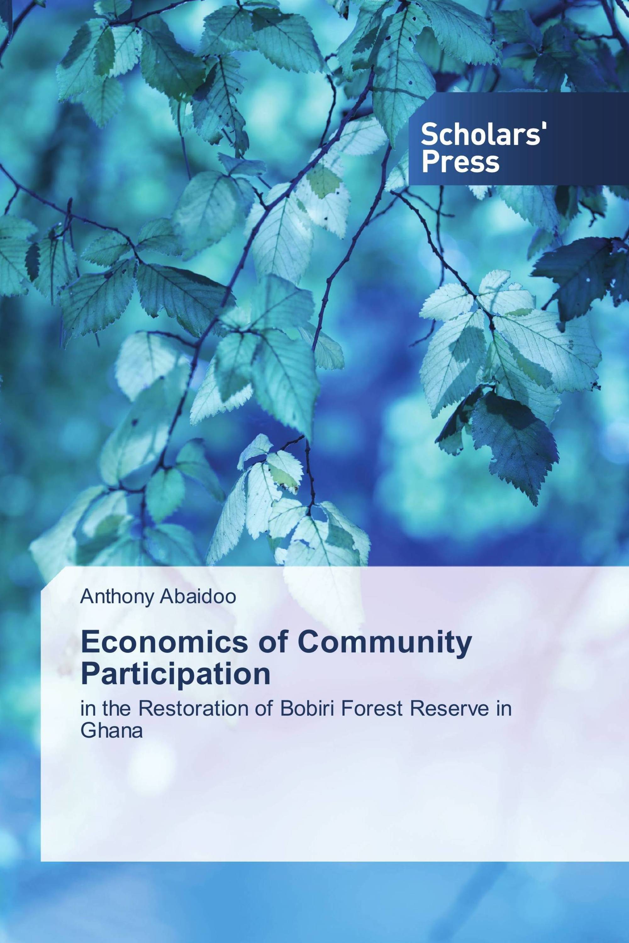 Economics of Community Participation