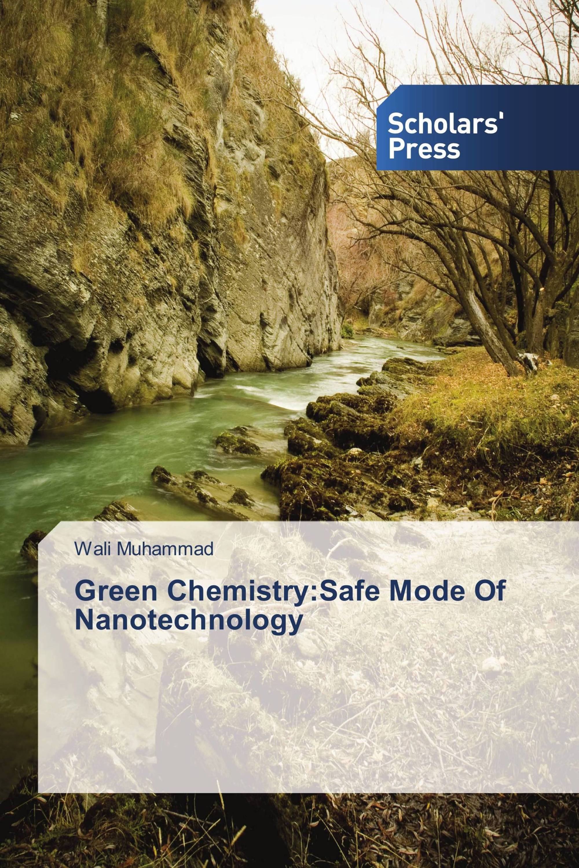 Green Chemistry: Safe Mode Of Nanotechnology