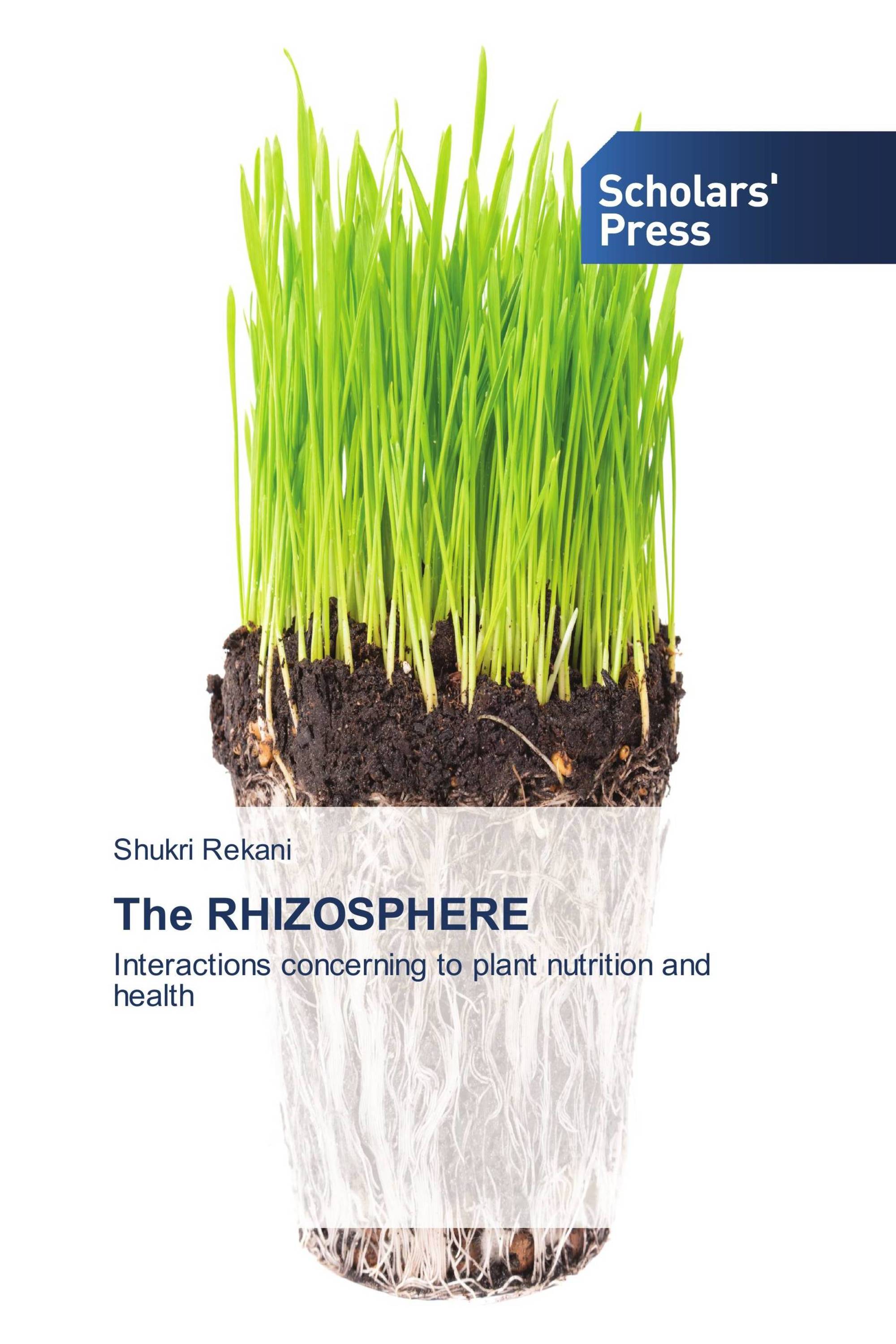 The RHIZOSPHERE