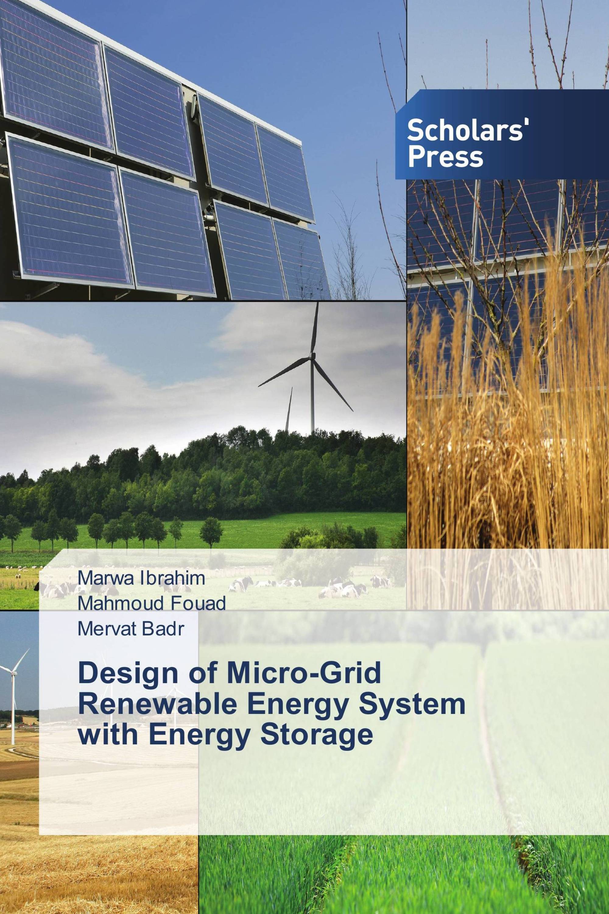 Design of Micro-Grid Renewable Energy System with Energy Storage