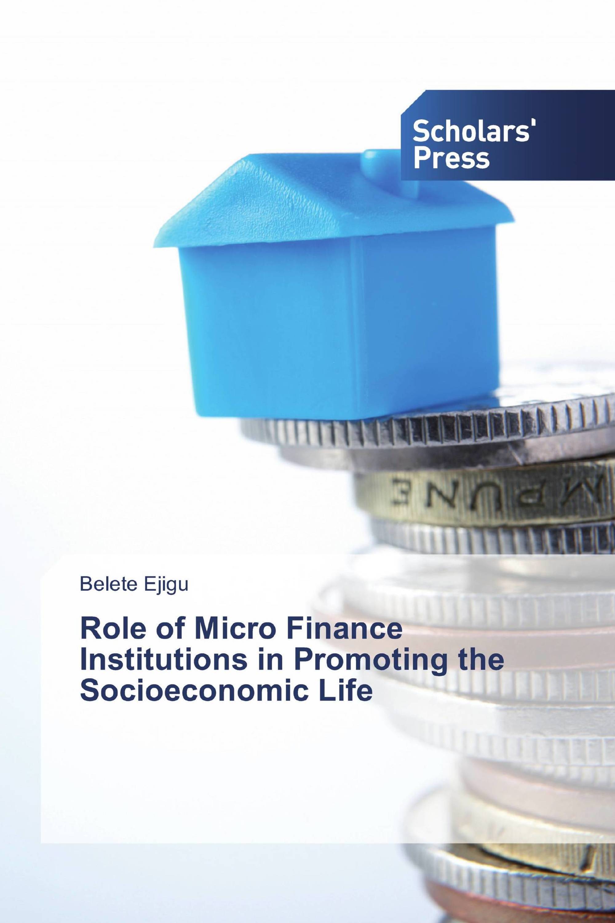 Role of Micro Finance Institutions in Promoting the Socioeconomic Life