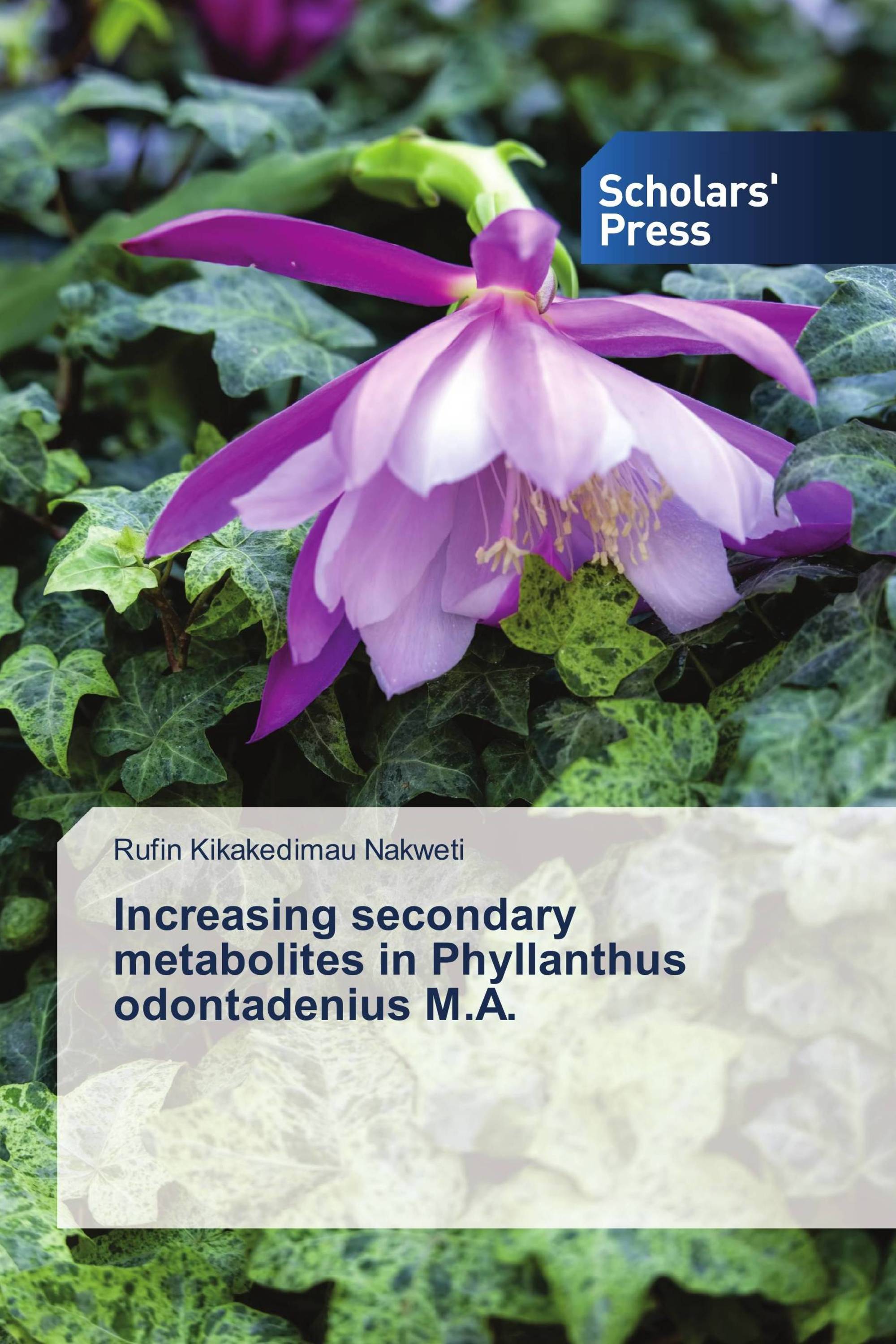 Increasing secondary metabolites in Phyllanthus odontadenius M.A.