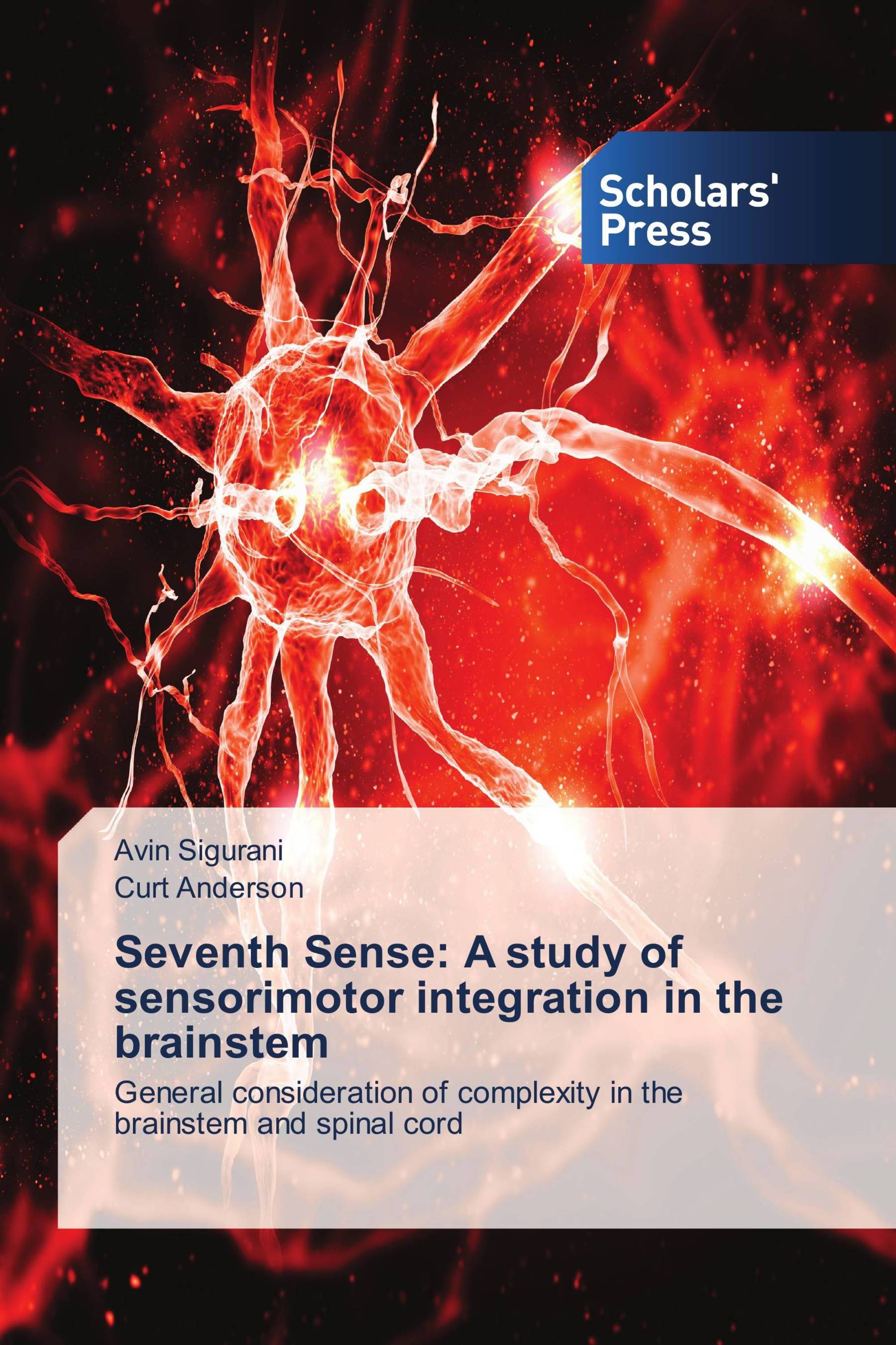 Seventh Sense: A study of sensorimotor integration in the brainstem