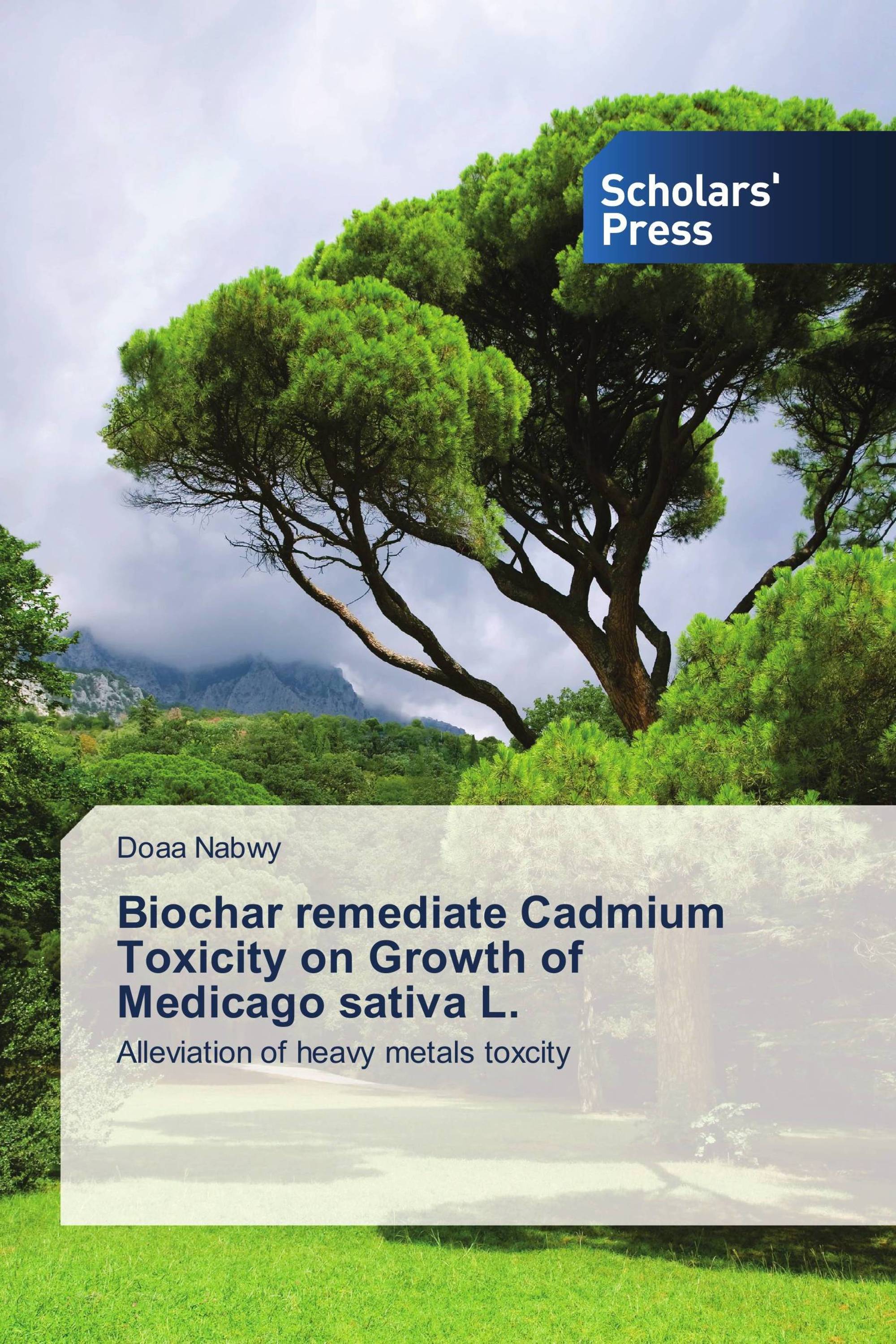 Biochar remediate Cadmium Toxicity on Growth of Medicago sativa L.