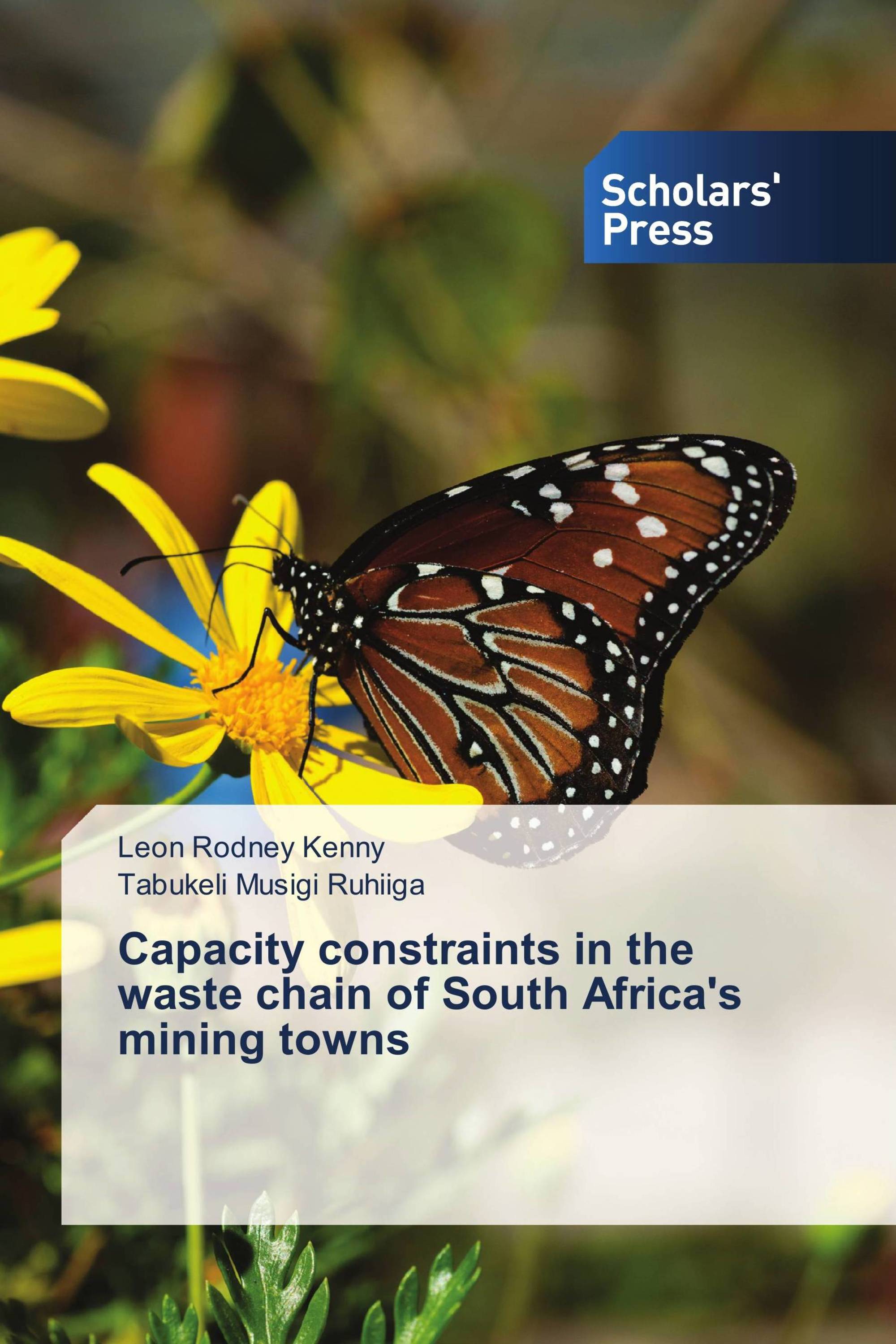 Capacity constraints in the waste chain of South Africa's mining towns