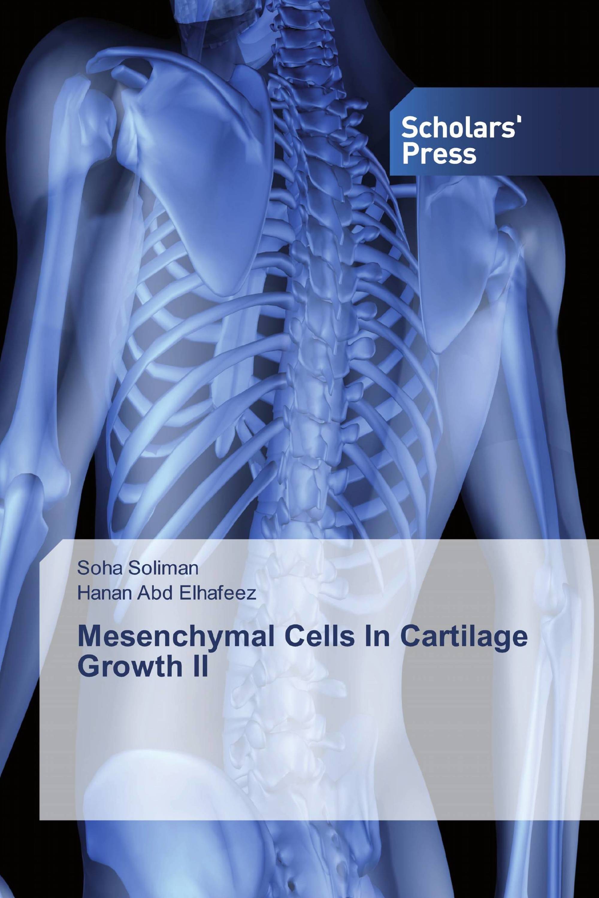 Mesenchymal Cells In Cartilage Growth II