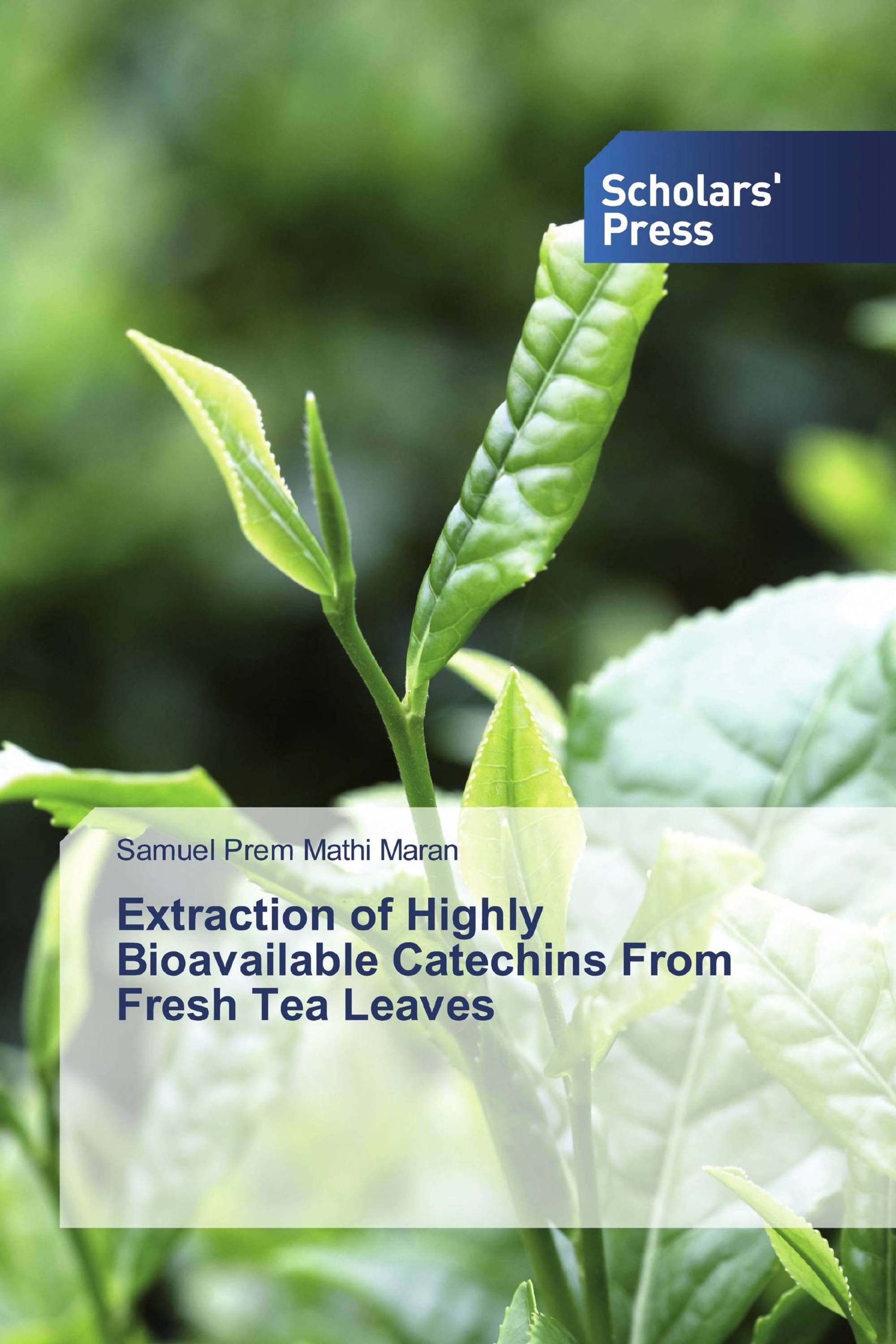 Extraction of Highly Bioavailable Catechins From Fresh Tea Leaves