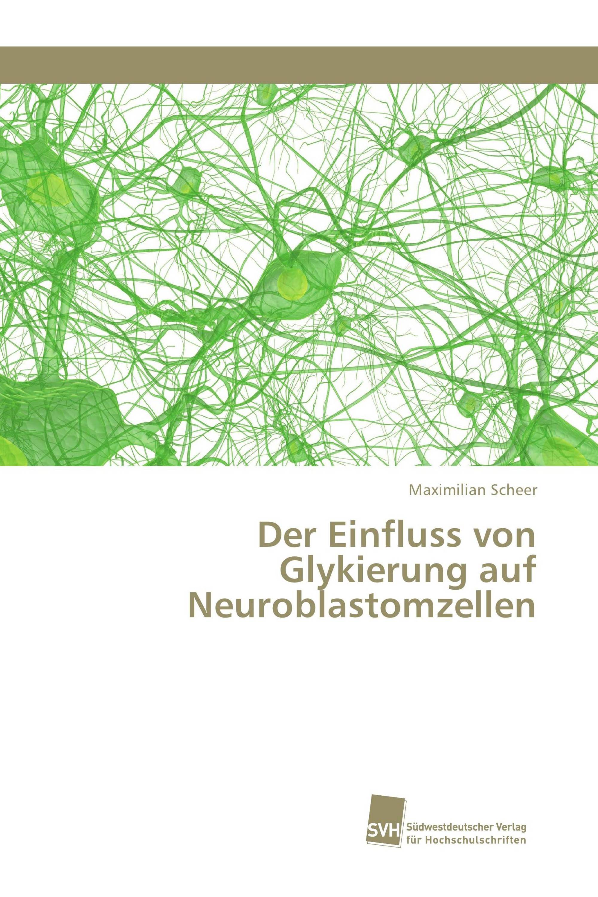 Der Einfluss von Glykierung auf Neuroblastomzellen