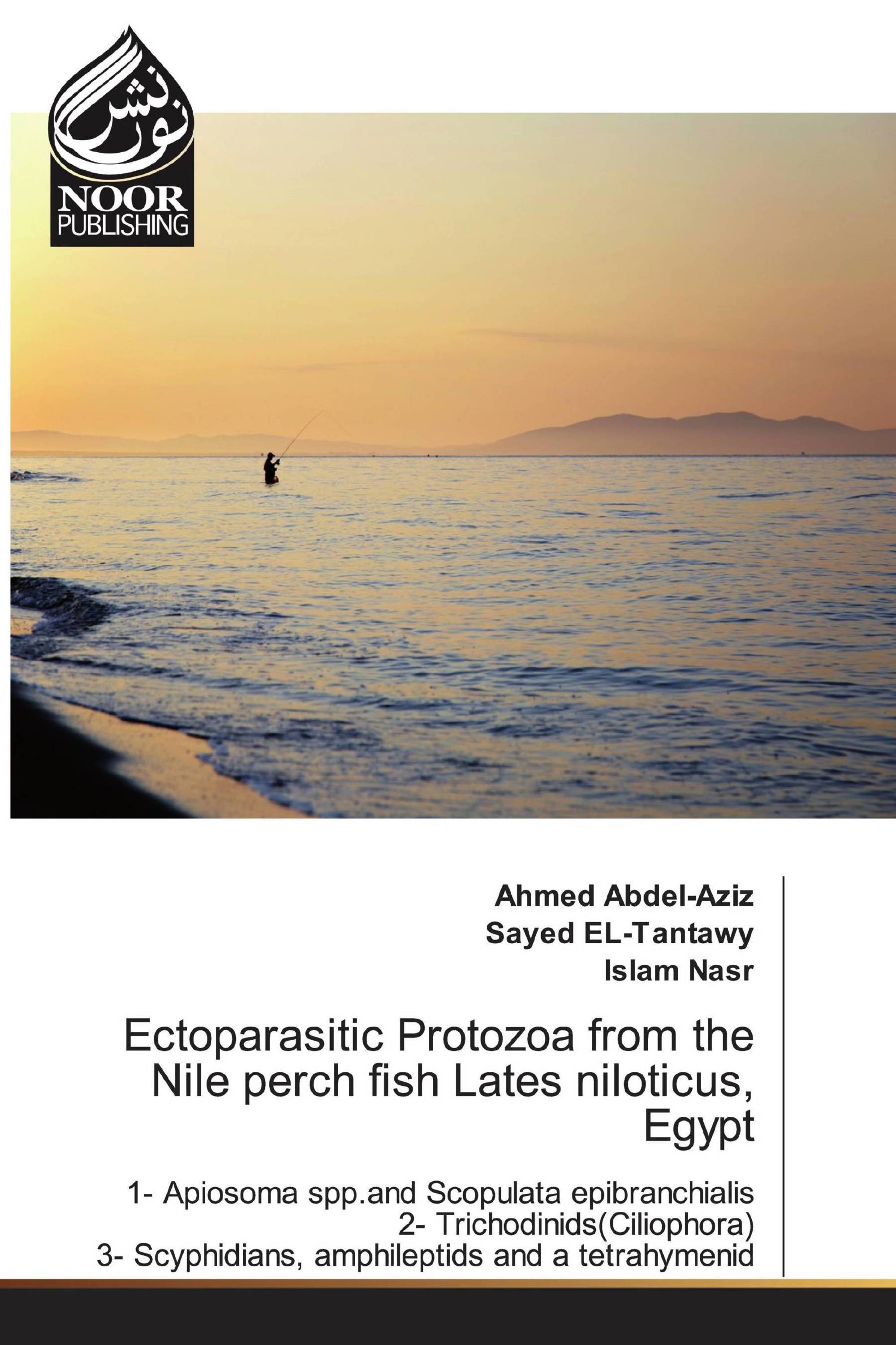 Ectoparasitic Protozoa from the Nile perch fish Lates niloticus, Egypt