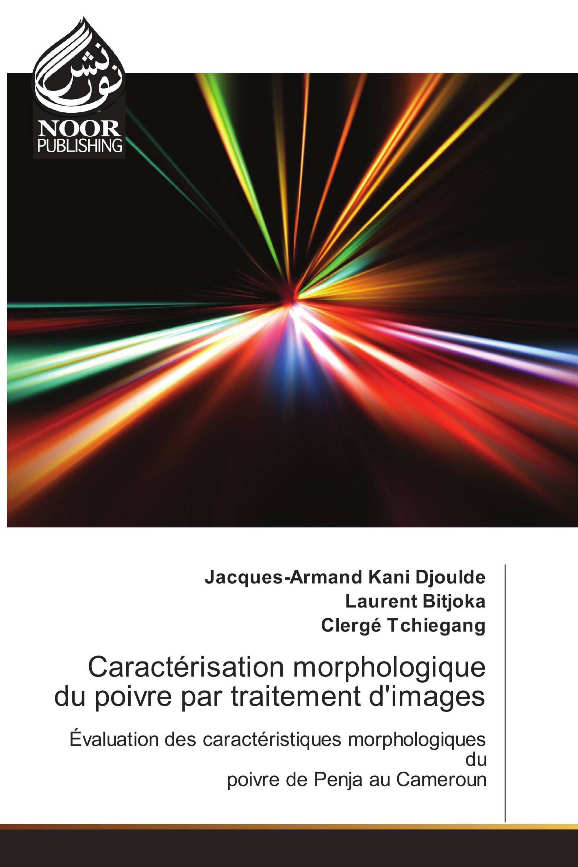 Caractérisation morphologique du poivre par traitement d'images