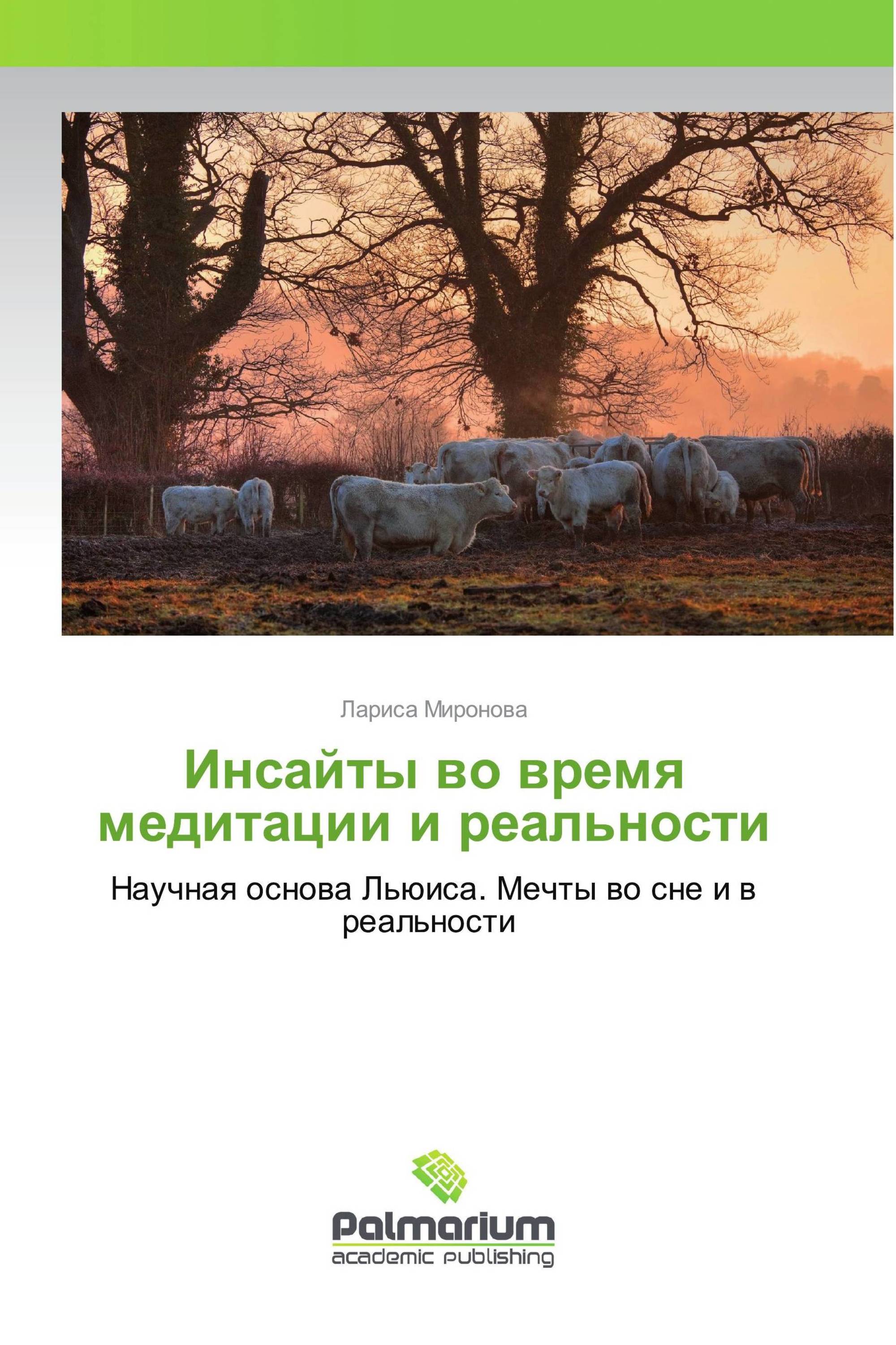 Инсайты во время медитации и реальности