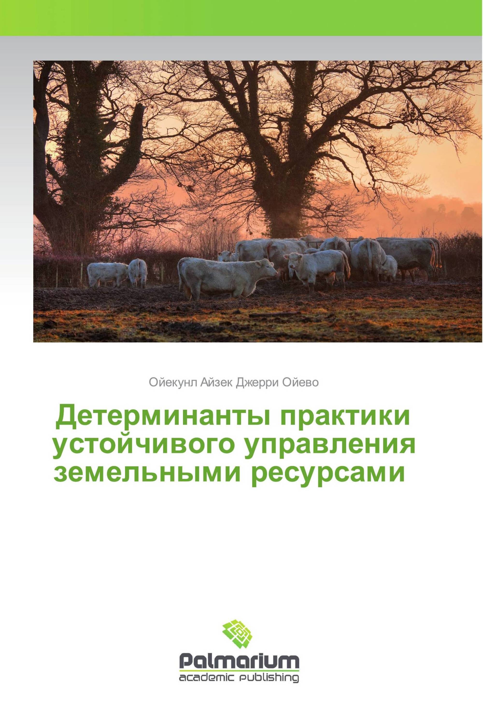 Детерминанты практики устойчивого управления земельными ресурсами