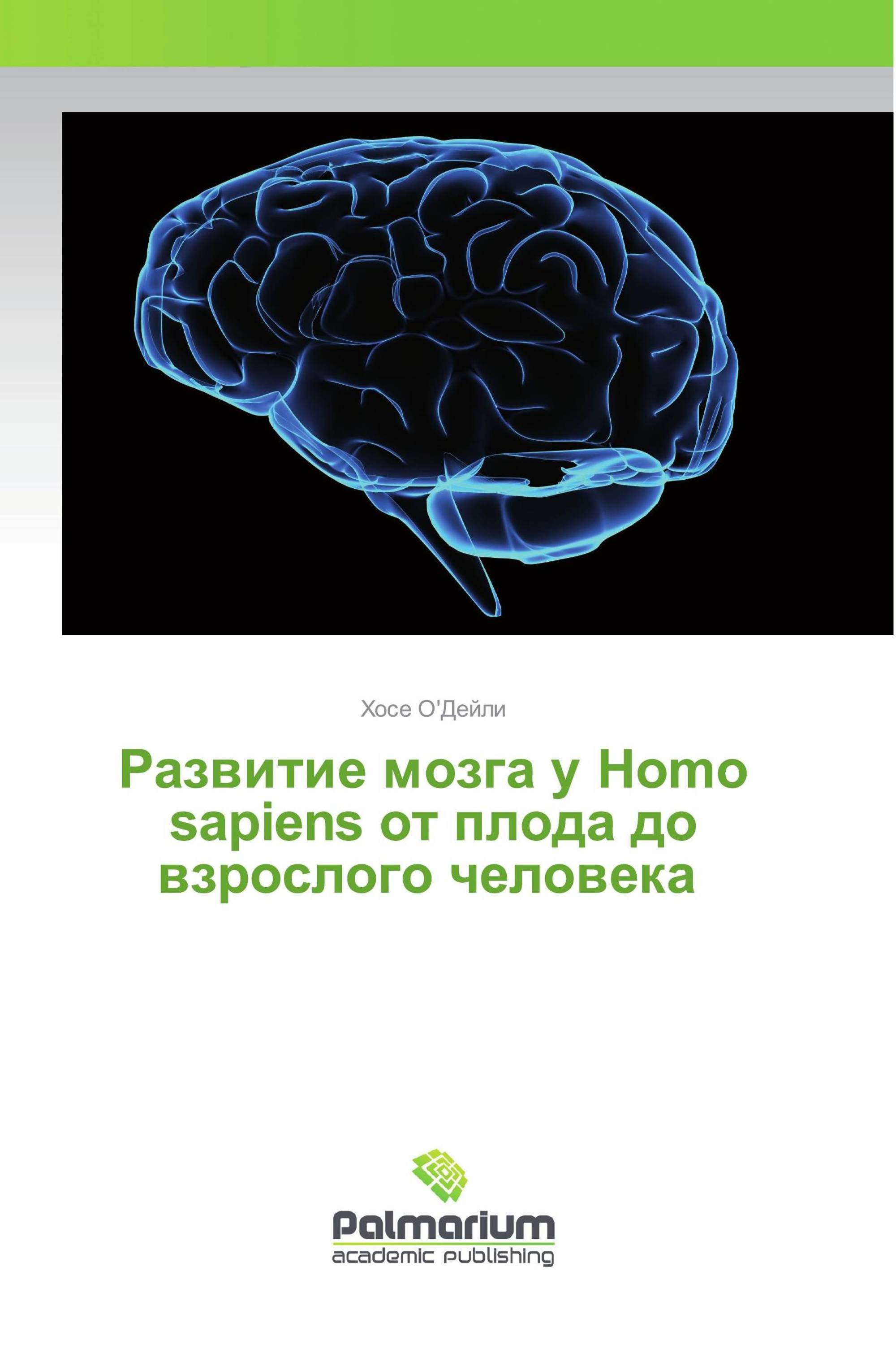 Развитие мозга у Homo sapiens от плода до взрослого человека