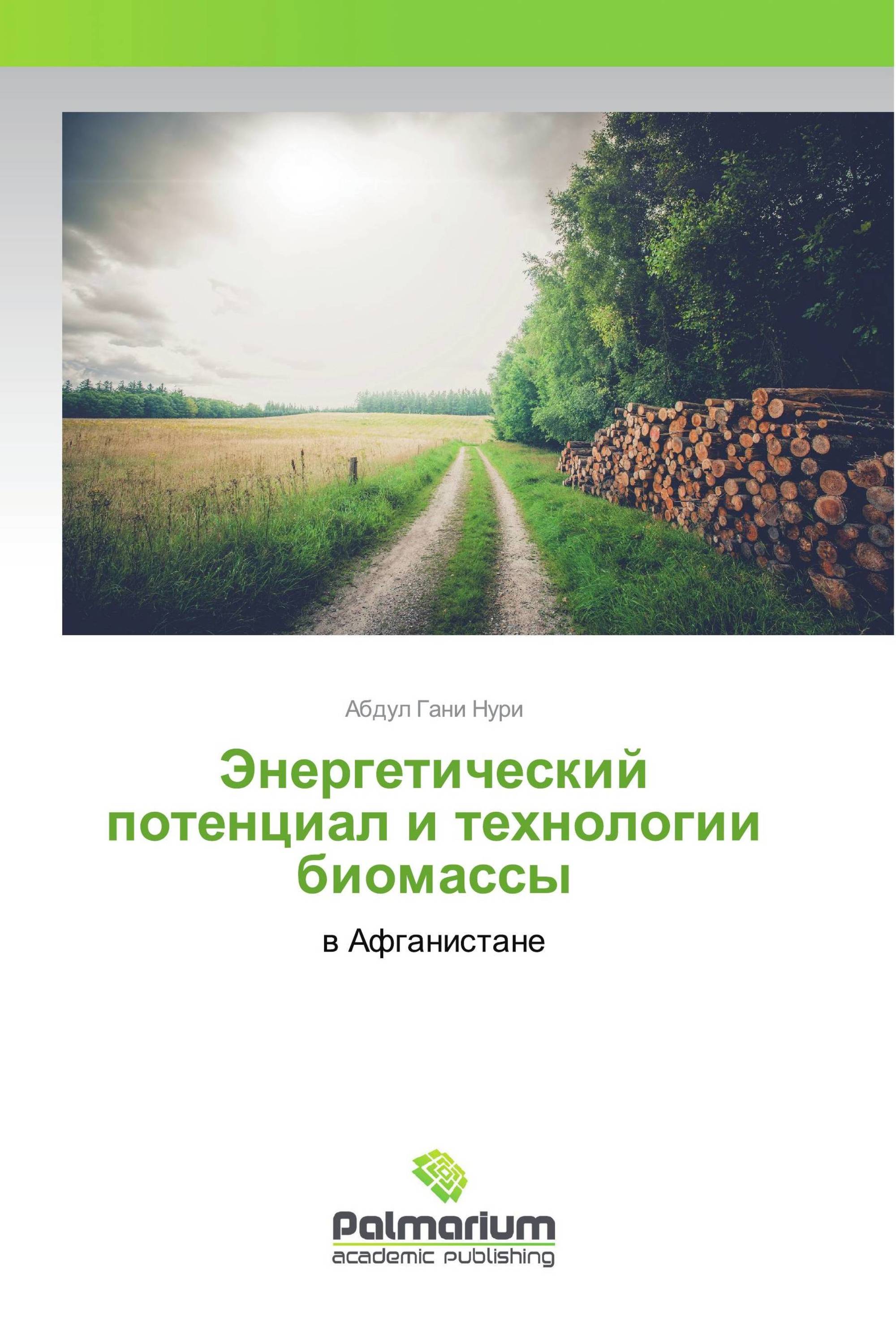 Энергетический потенциал и технологии биомассы