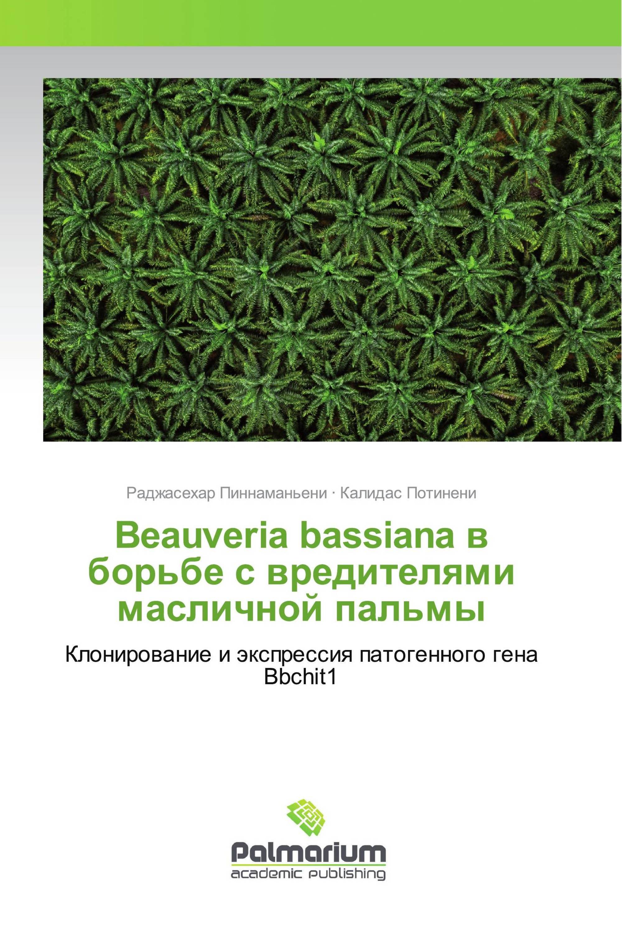 Beauveria bassiana в борьбе с вредителями масличной пальмы