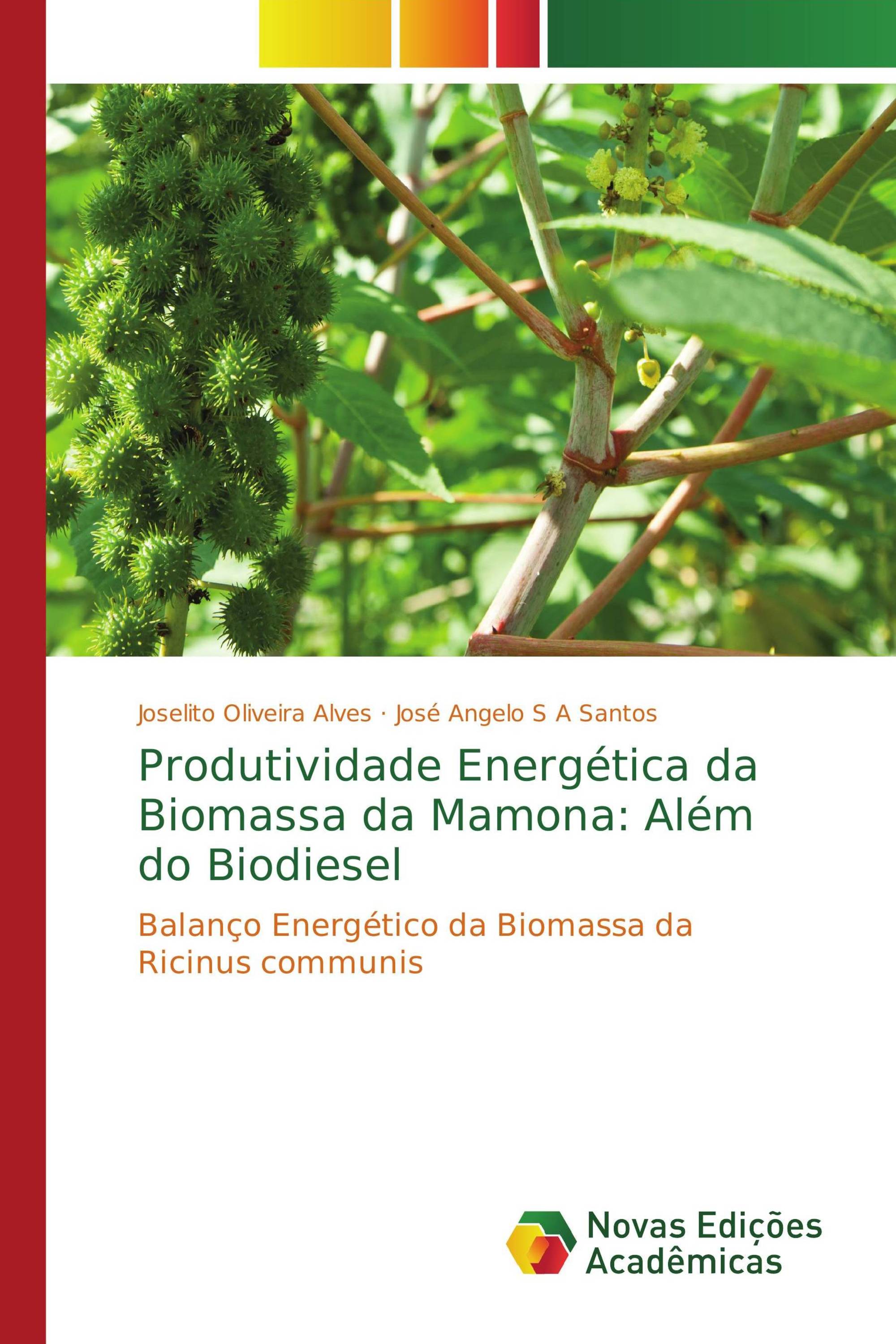 Produtividade Energética da Biomassa da Mamona: Além do Biodiesel