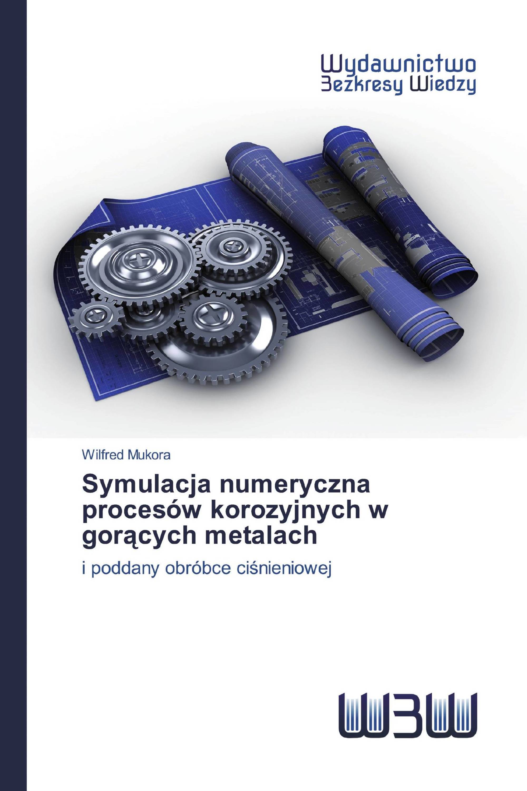 Symulacja numeryczna procesów korozyjnych w gorących metalach