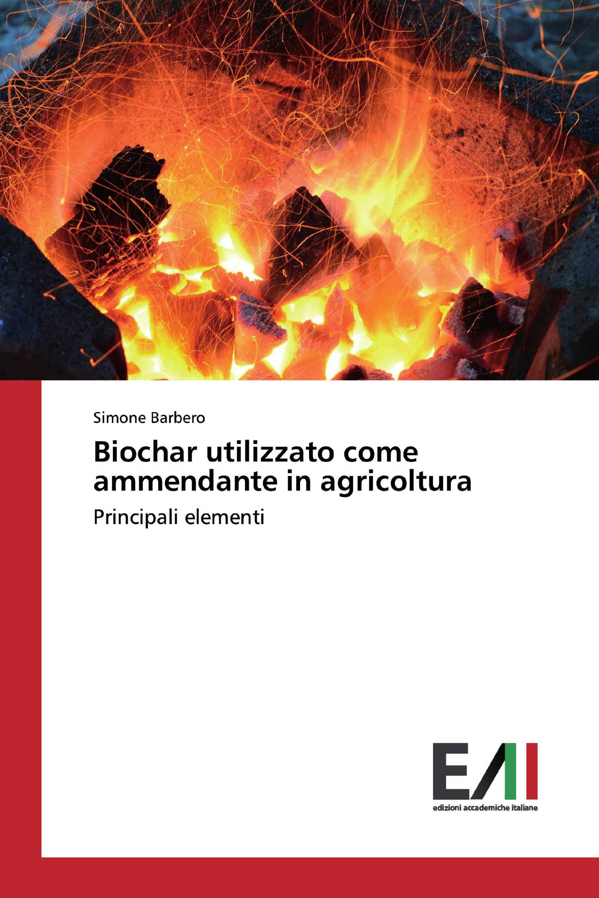 Biochar utilizzato come ammendante in agricoltura