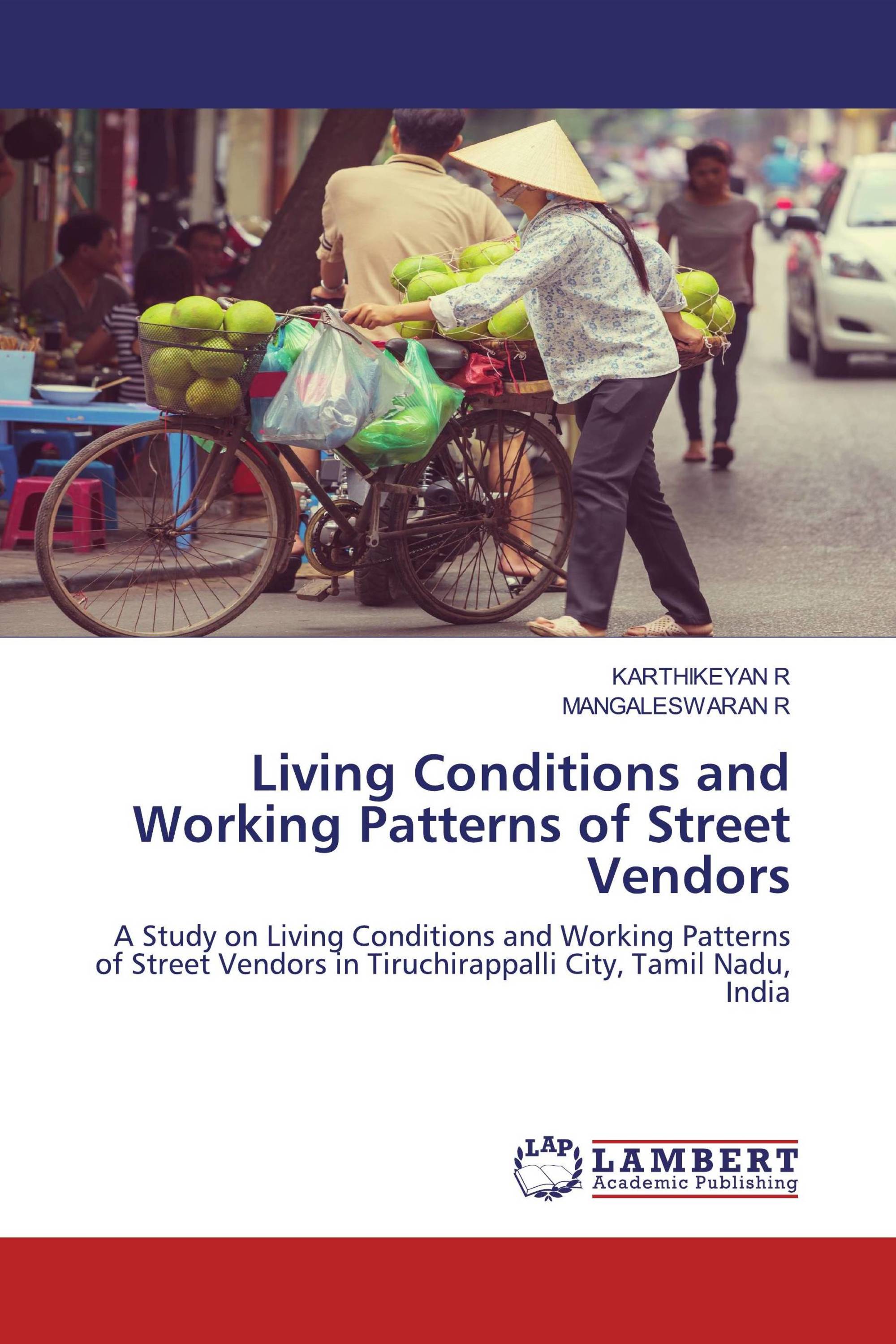 Living Conditions and Working Patterns of Street Vendors