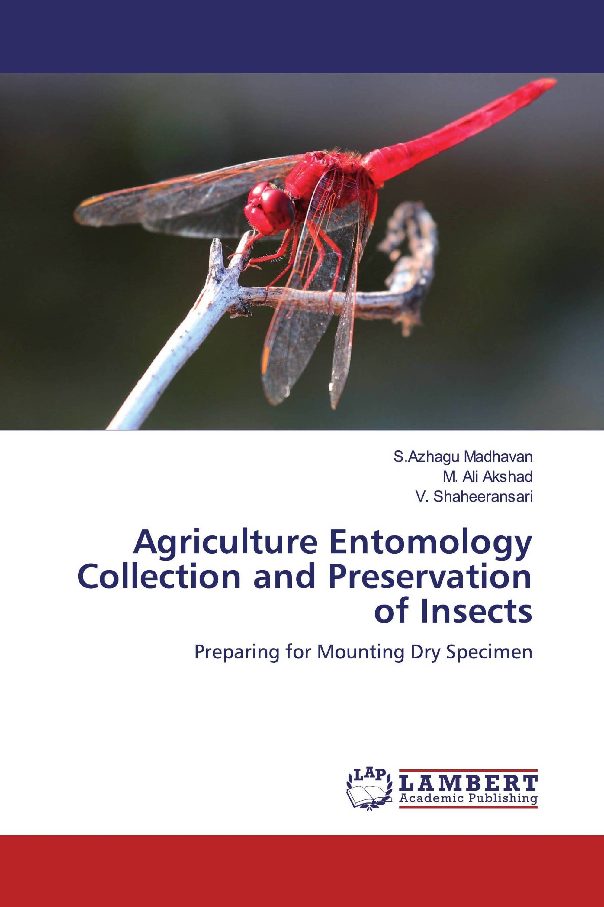 Agriculture Entomology Collection and Preservation of Insects