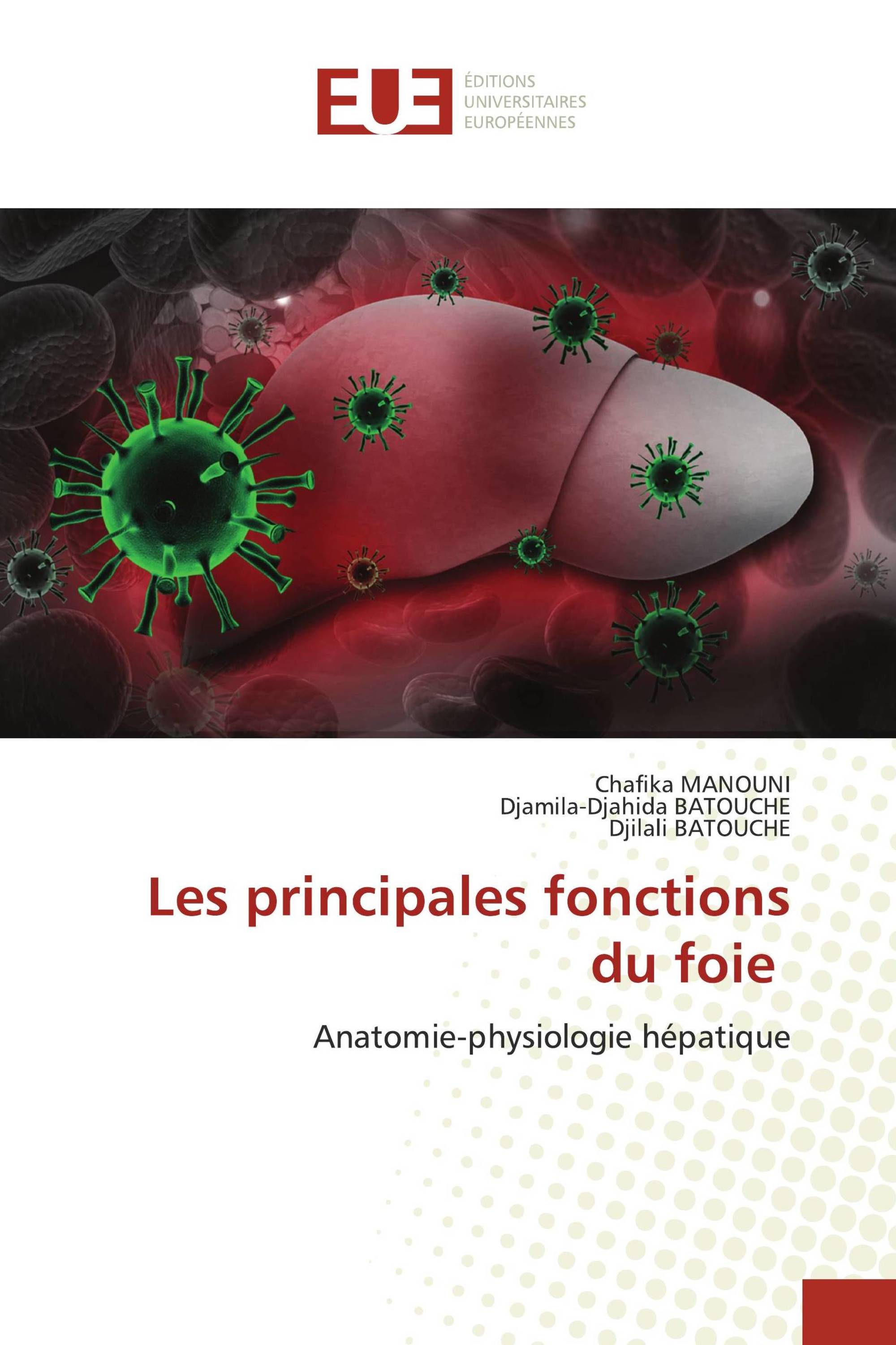 Les principales fonctions du foie