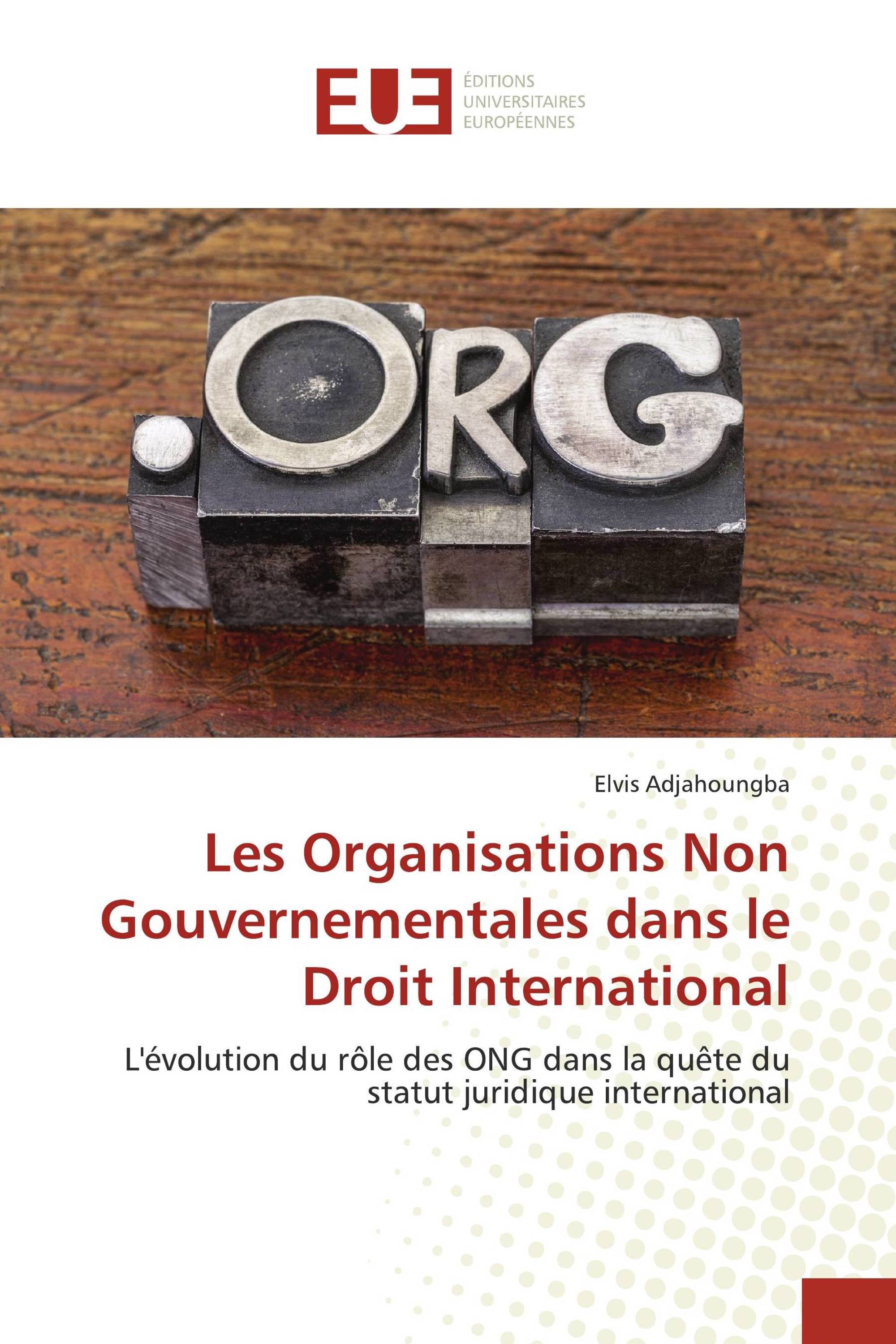 Les Organisations Non Gouvernementales dans le Droit International