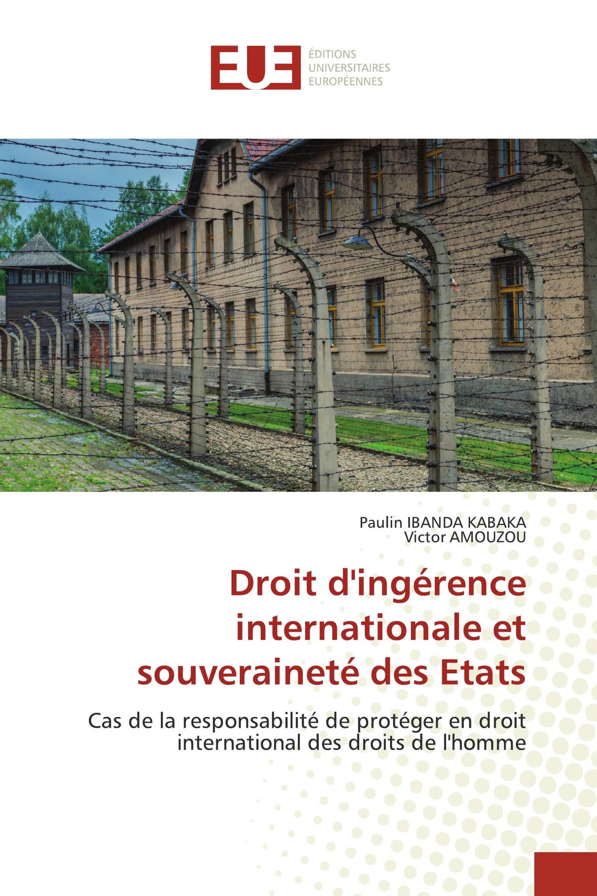 Droit d'ingérence internationale et souveraineté des Etats