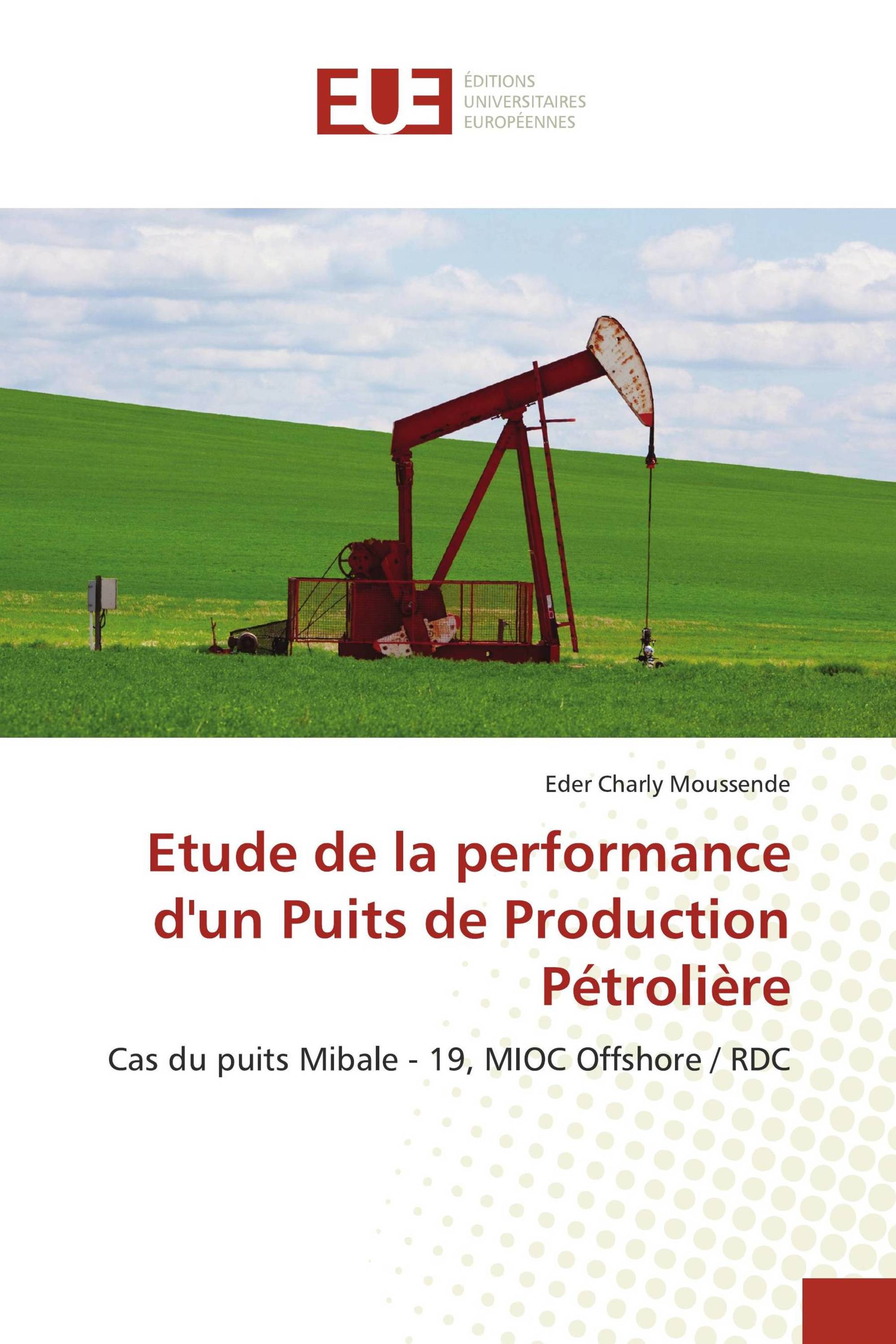 Etude de la performance d'un Puits de Production Pétrolière