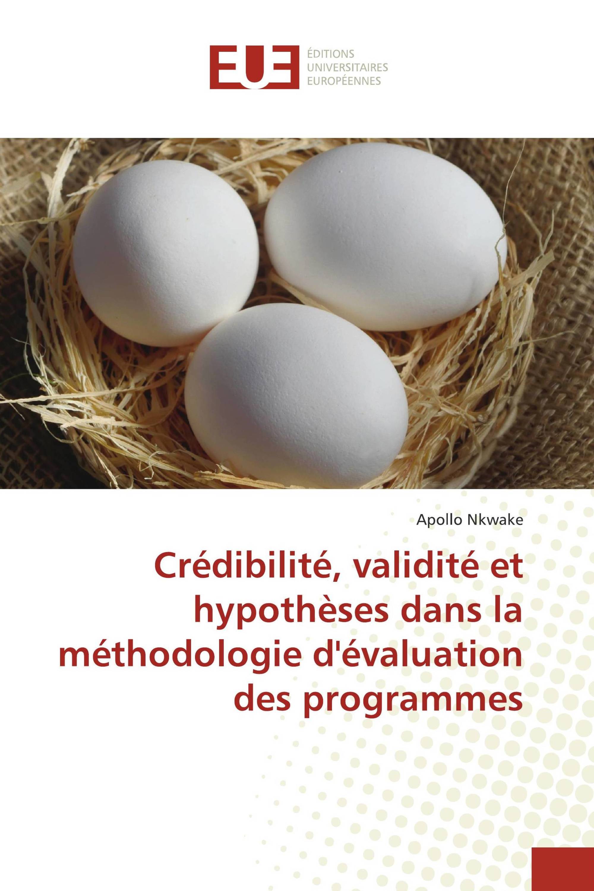 Crédibilité, validité et hypothèses dans la méthodologie d'évaluation des programmes