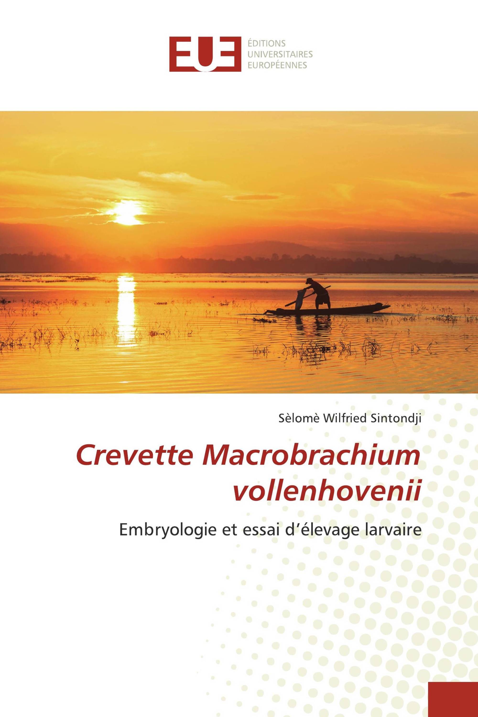 Crevette Macrobrachium vollenhovenii