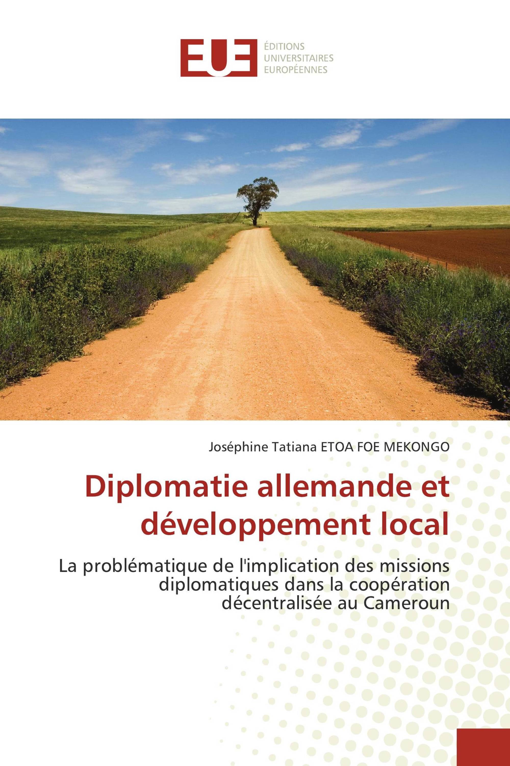 Diplomatie allemande et développement local