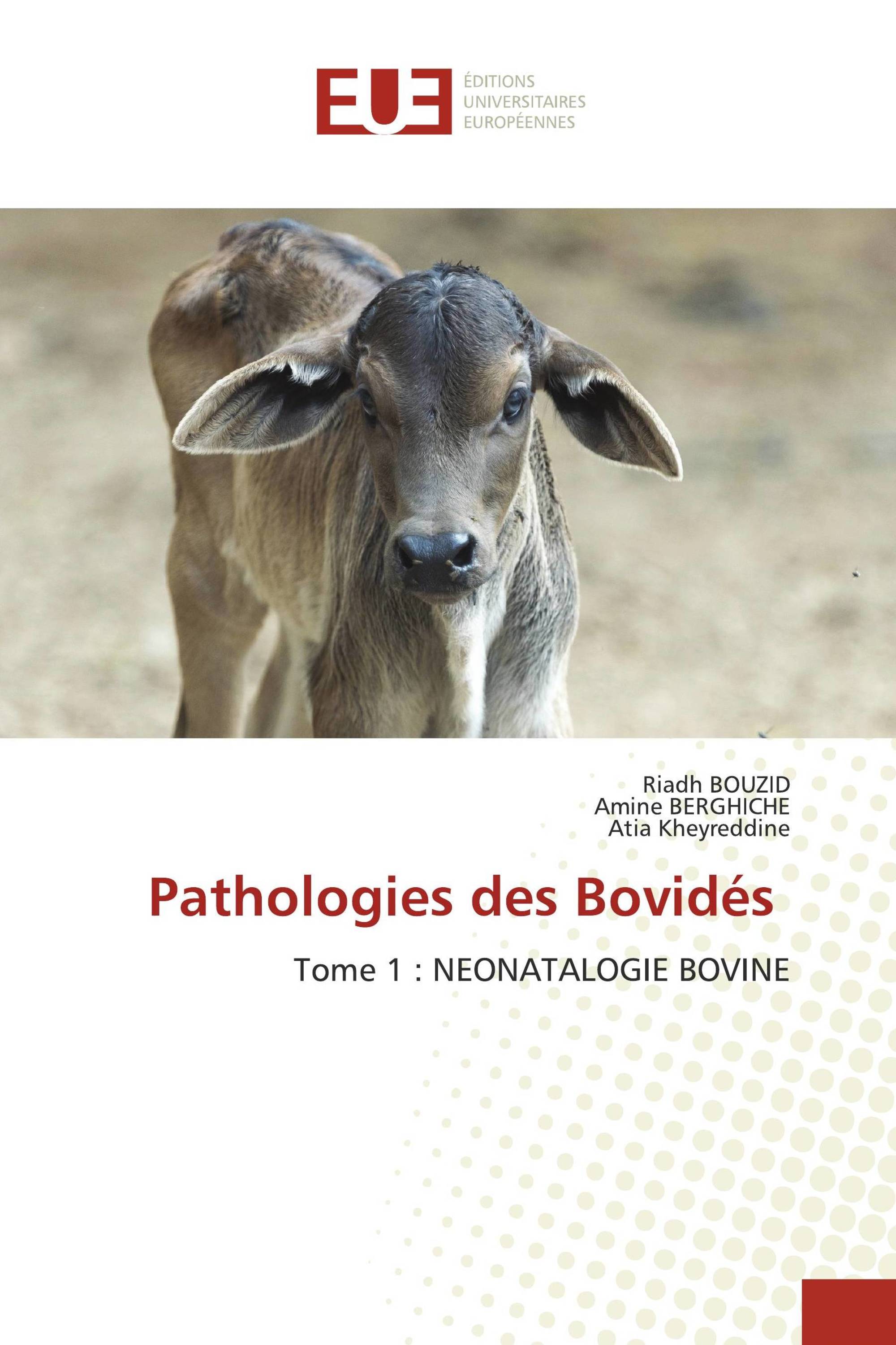 Pathologies des Bovidés