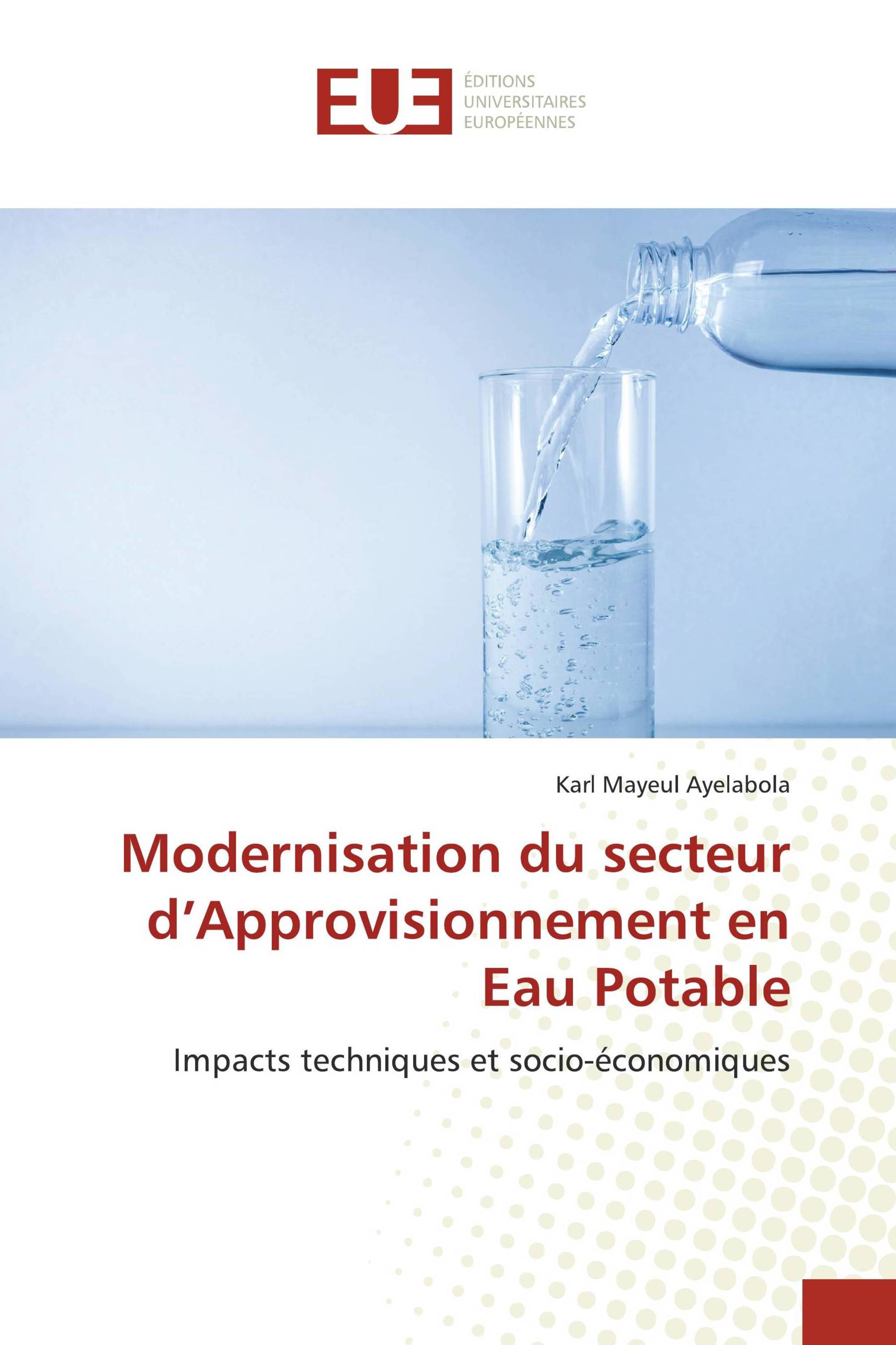 Modernisation du secteur d’Approvisionnement en Eau Potable