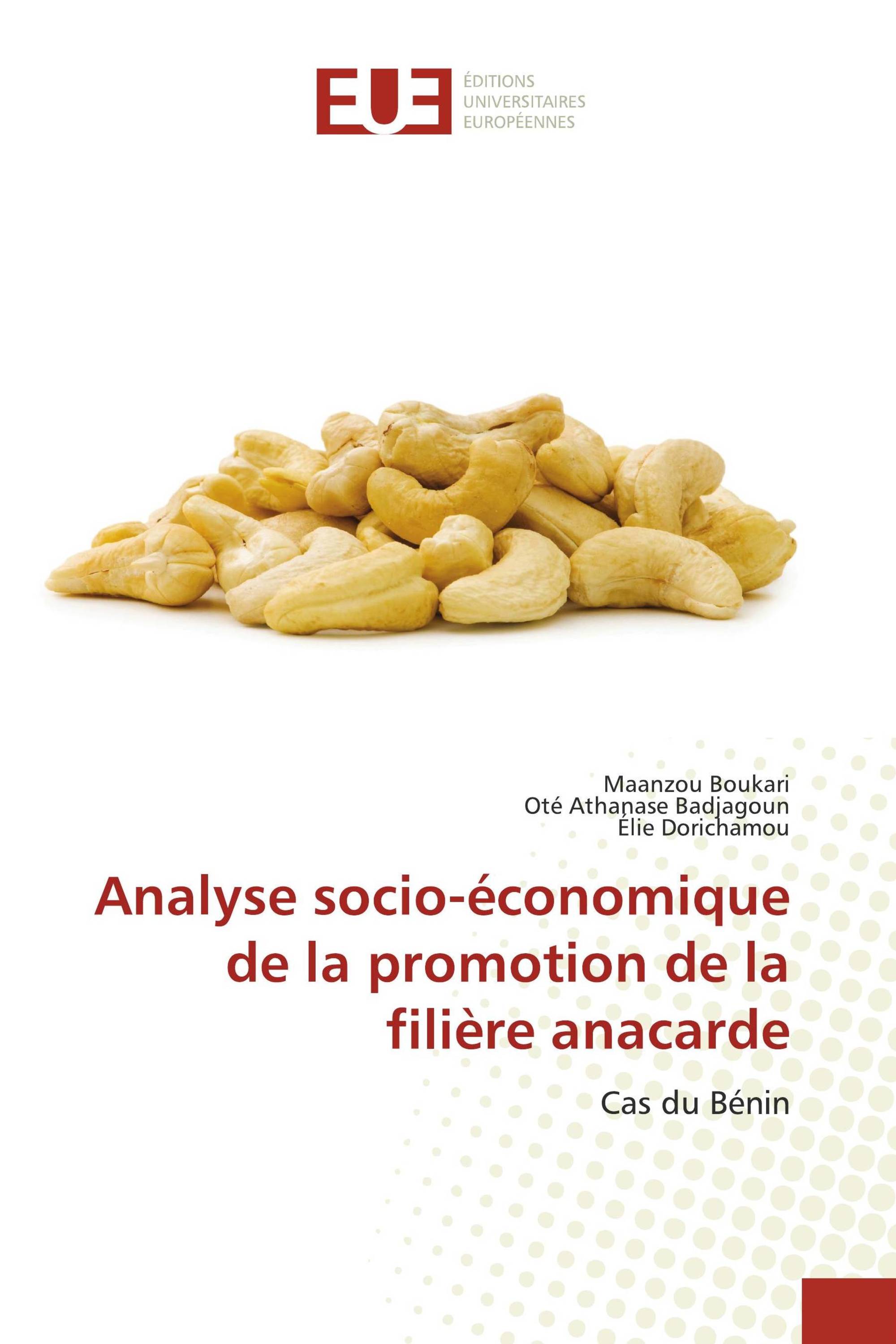 Analyse socio-économique de la promotion de la filière anacarde