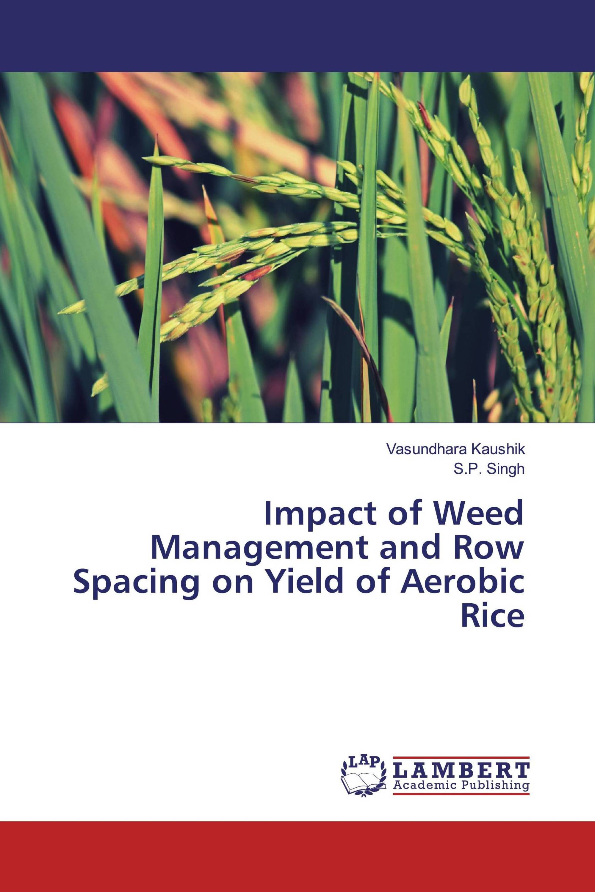 Impact of Weed Management and Row Spacing on Yield of Aerobic Rice