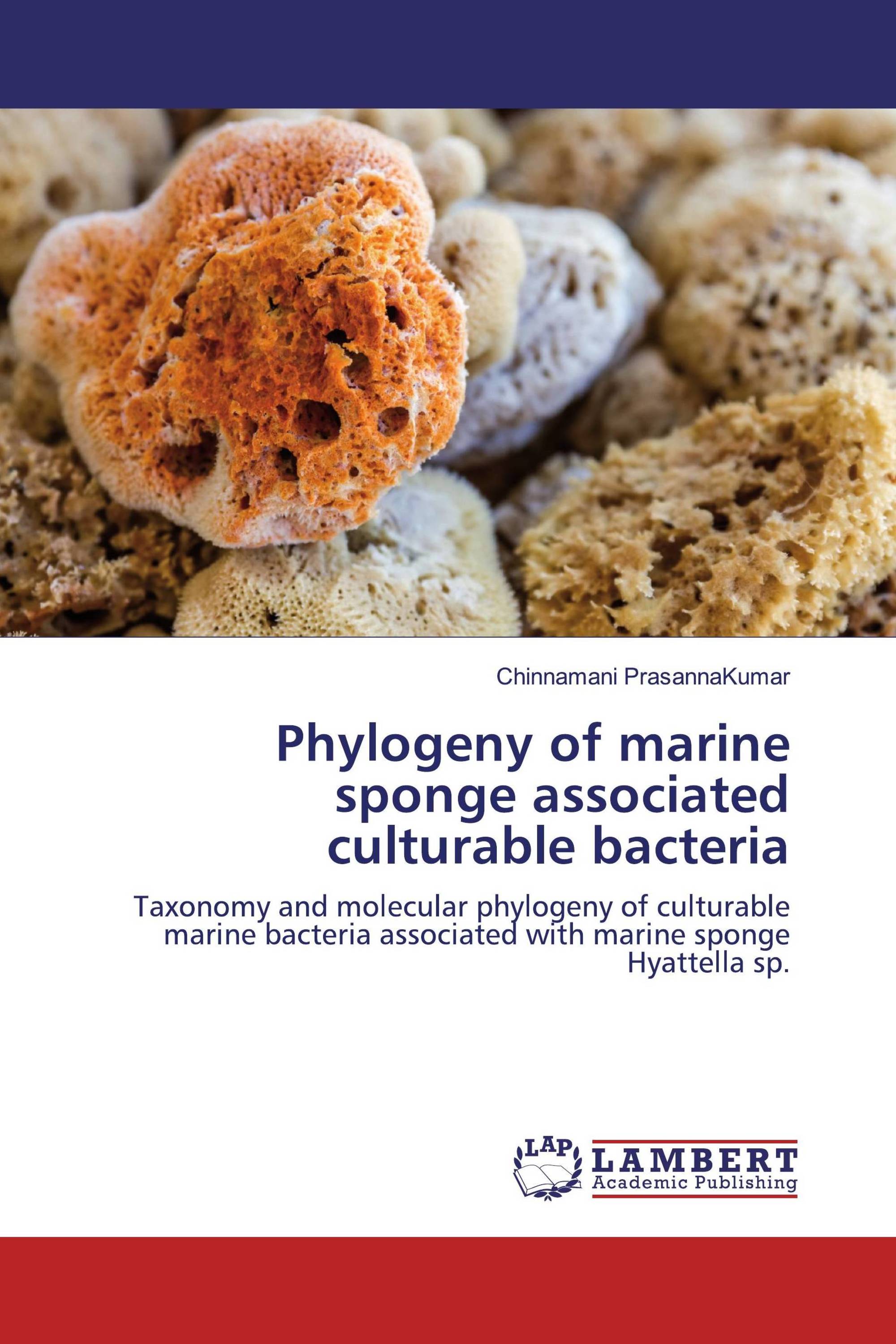 Phylogeny of marine sponge associated culturable bacteria / 9786202