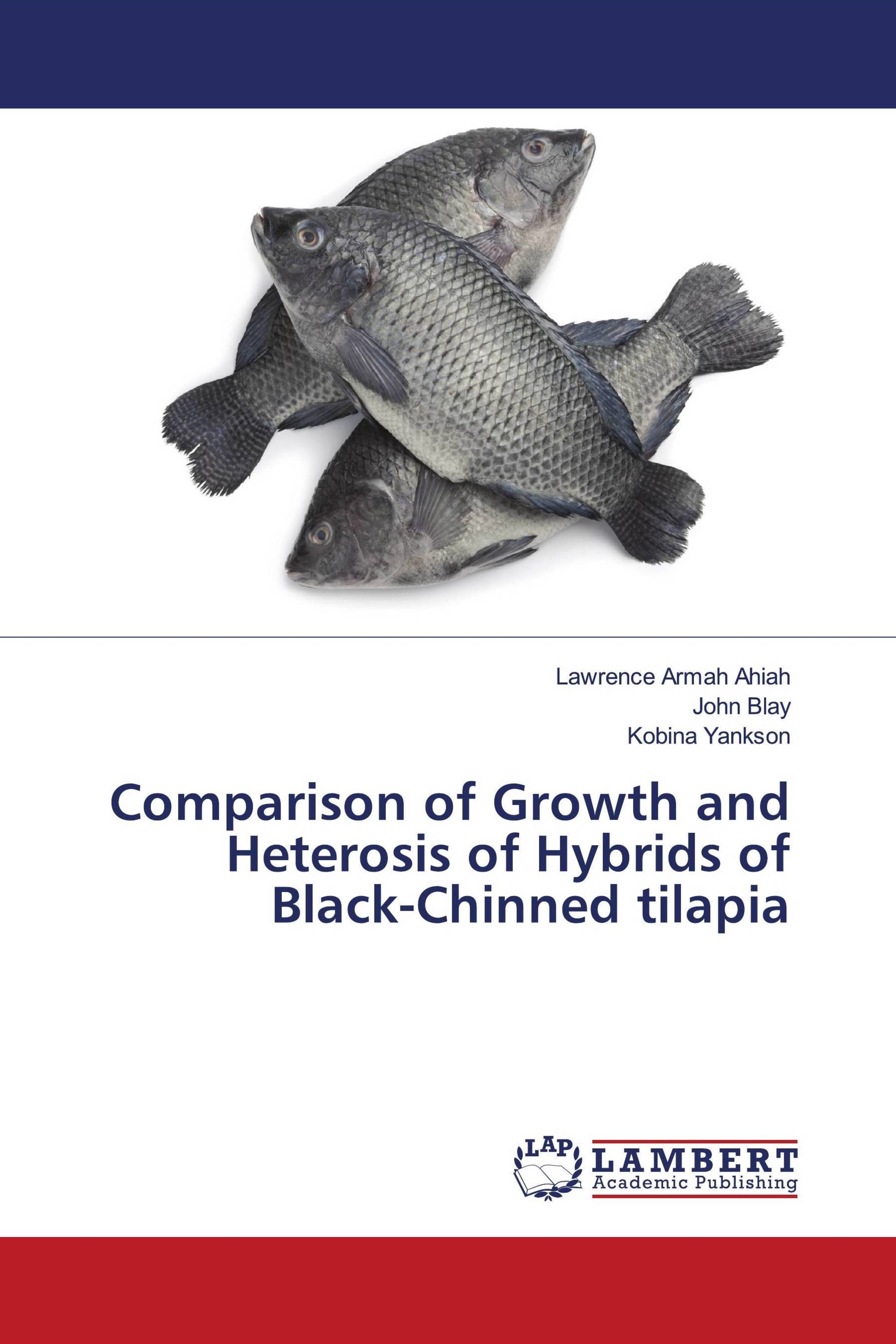 Comparison of Growth and Heterosis of Hybrids of Black-Chinned tilapia