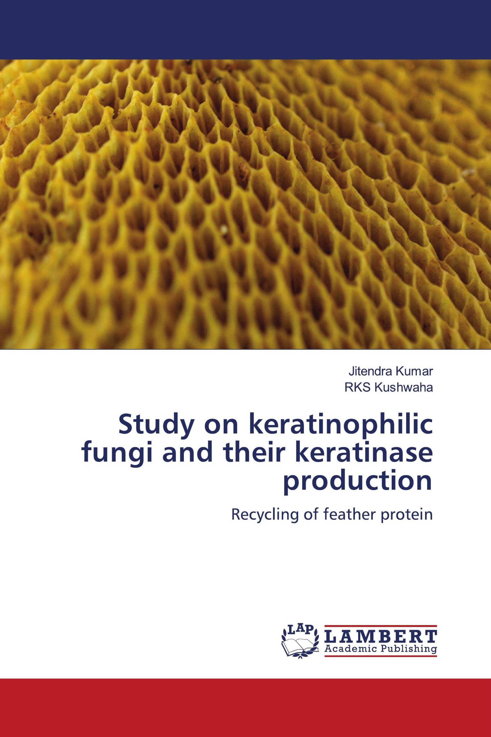 Keratinase enzyme thesis 07 picture