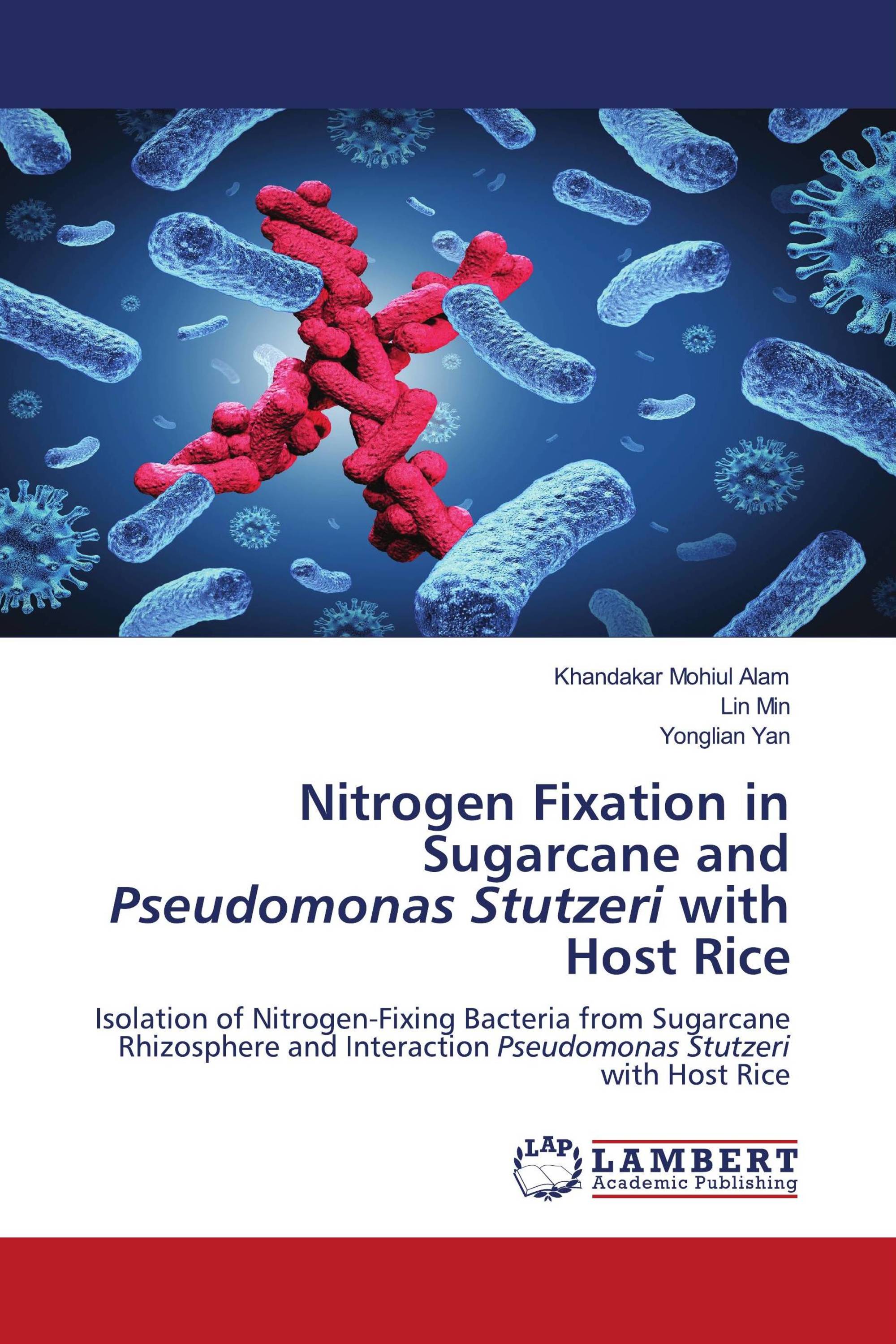 Nitrogen Fixation in Sugarcane and Pseudomonas Stutzeri with Host Rice