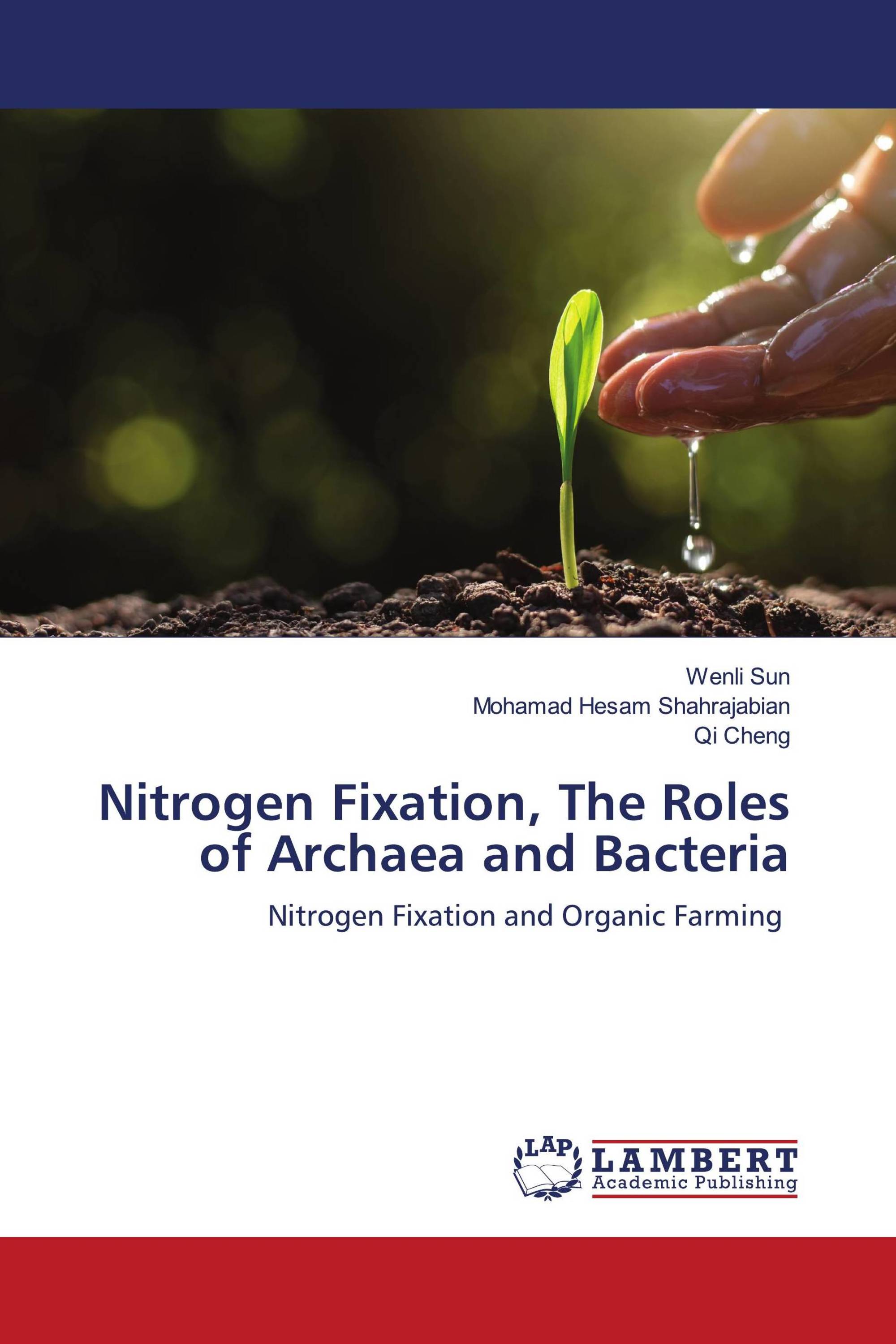 Nitrogen Fixation, The Roles of Archaea and Bacteria