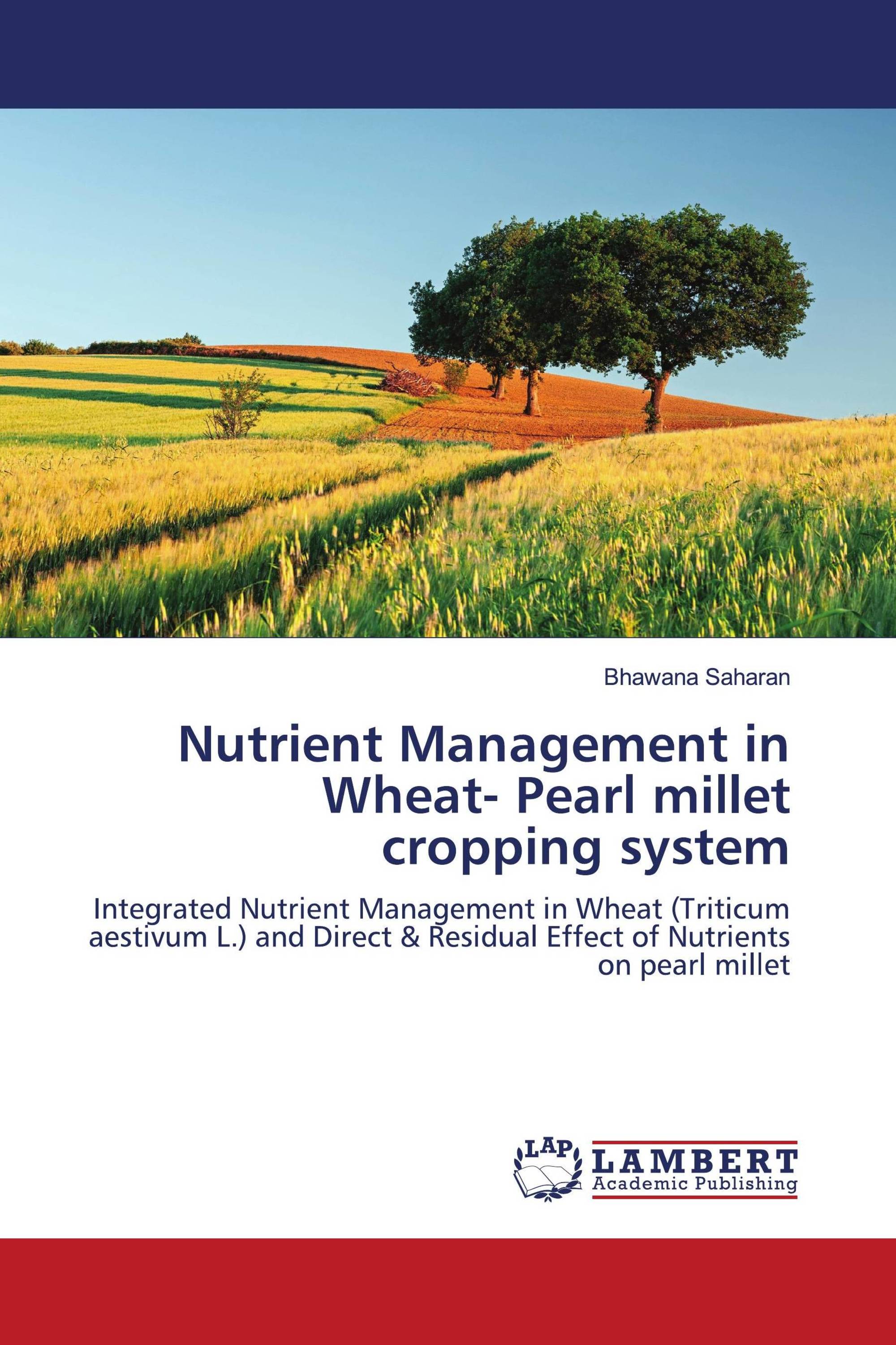 Millet grain picture